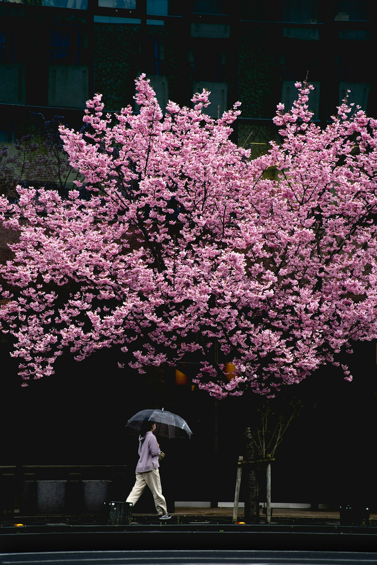 Foto von Yukihiro