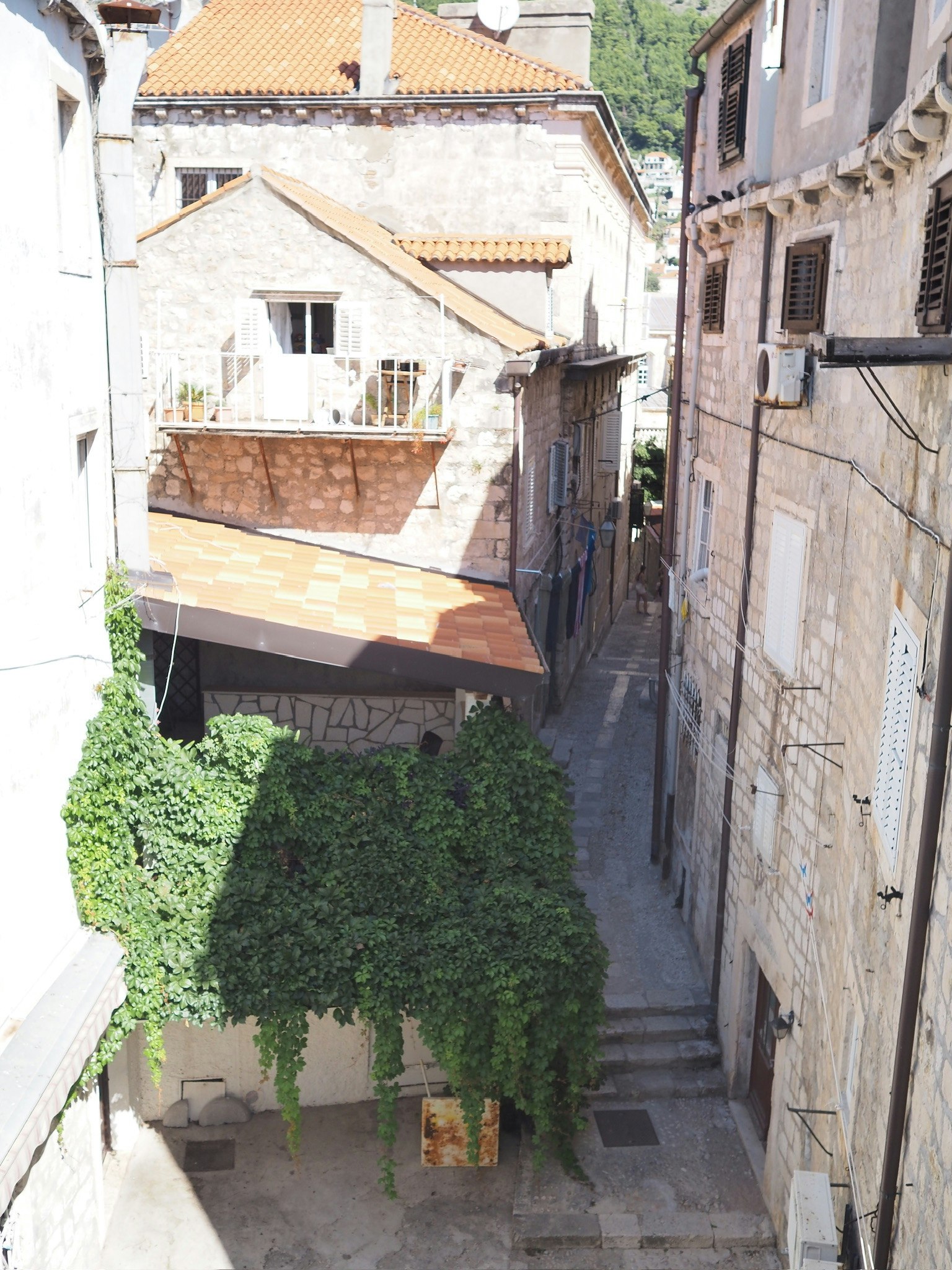 2024-04-roji-image-8