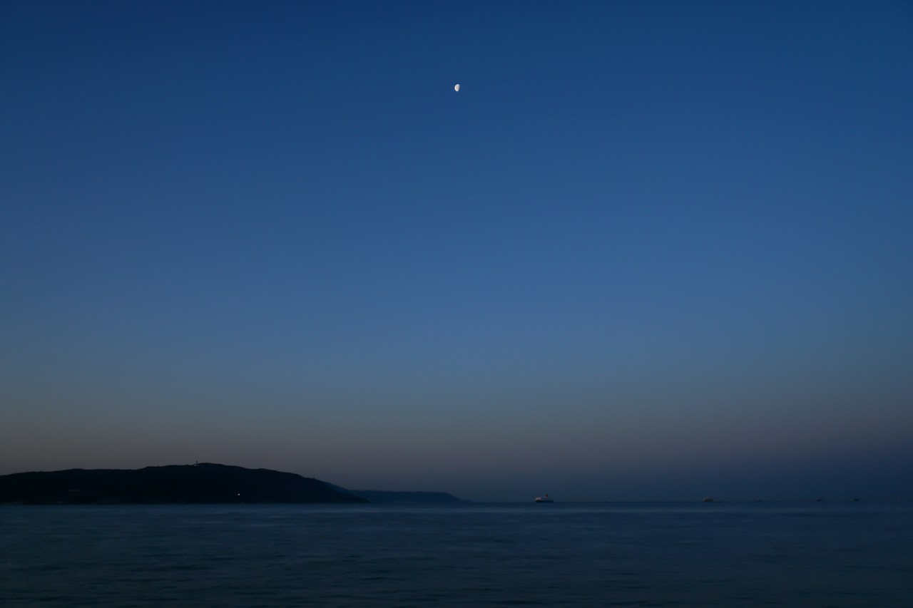 Photo by niko