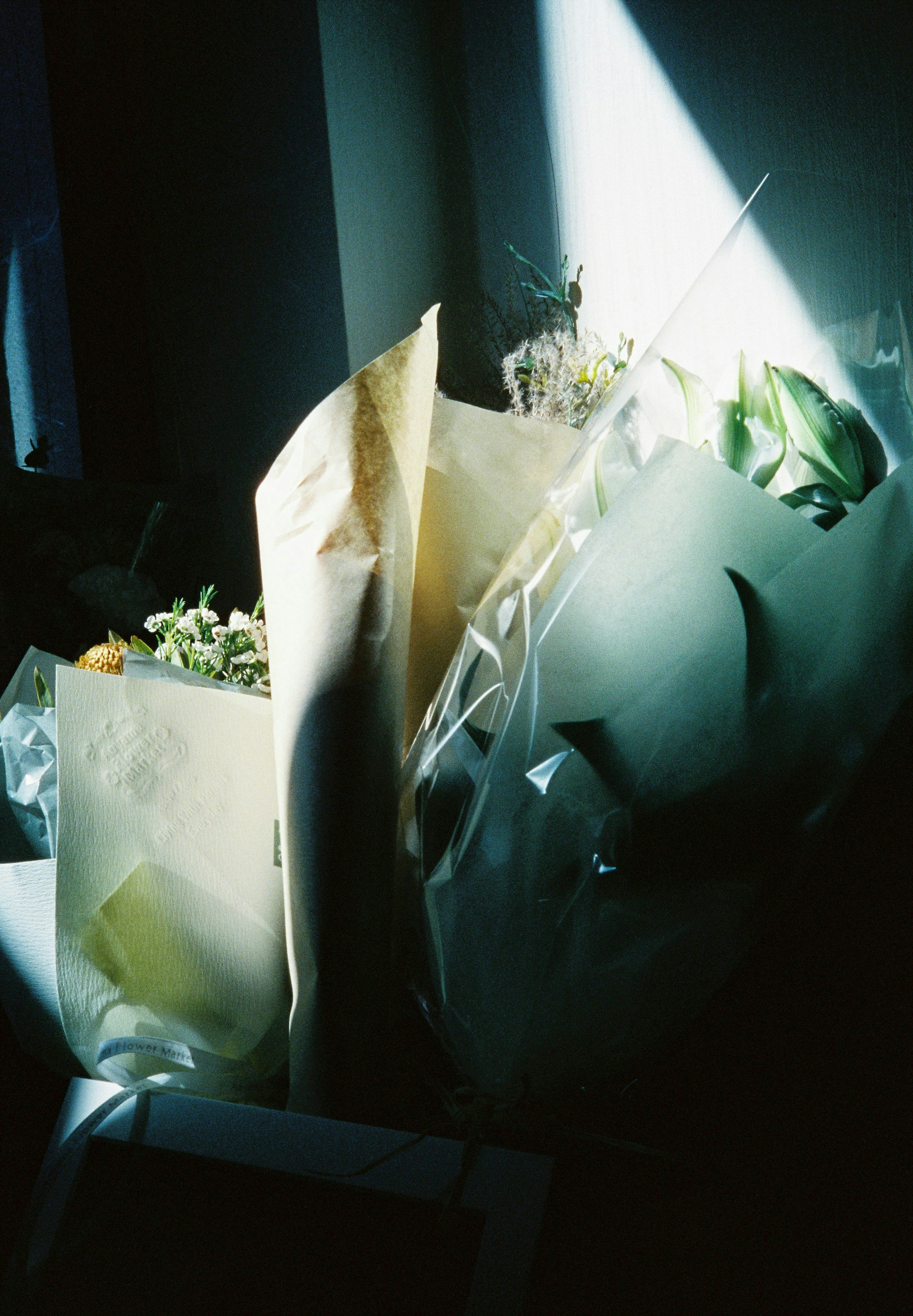 2025-03-momo-film-camera-beginner-kodak-ektar-h35n-image-6