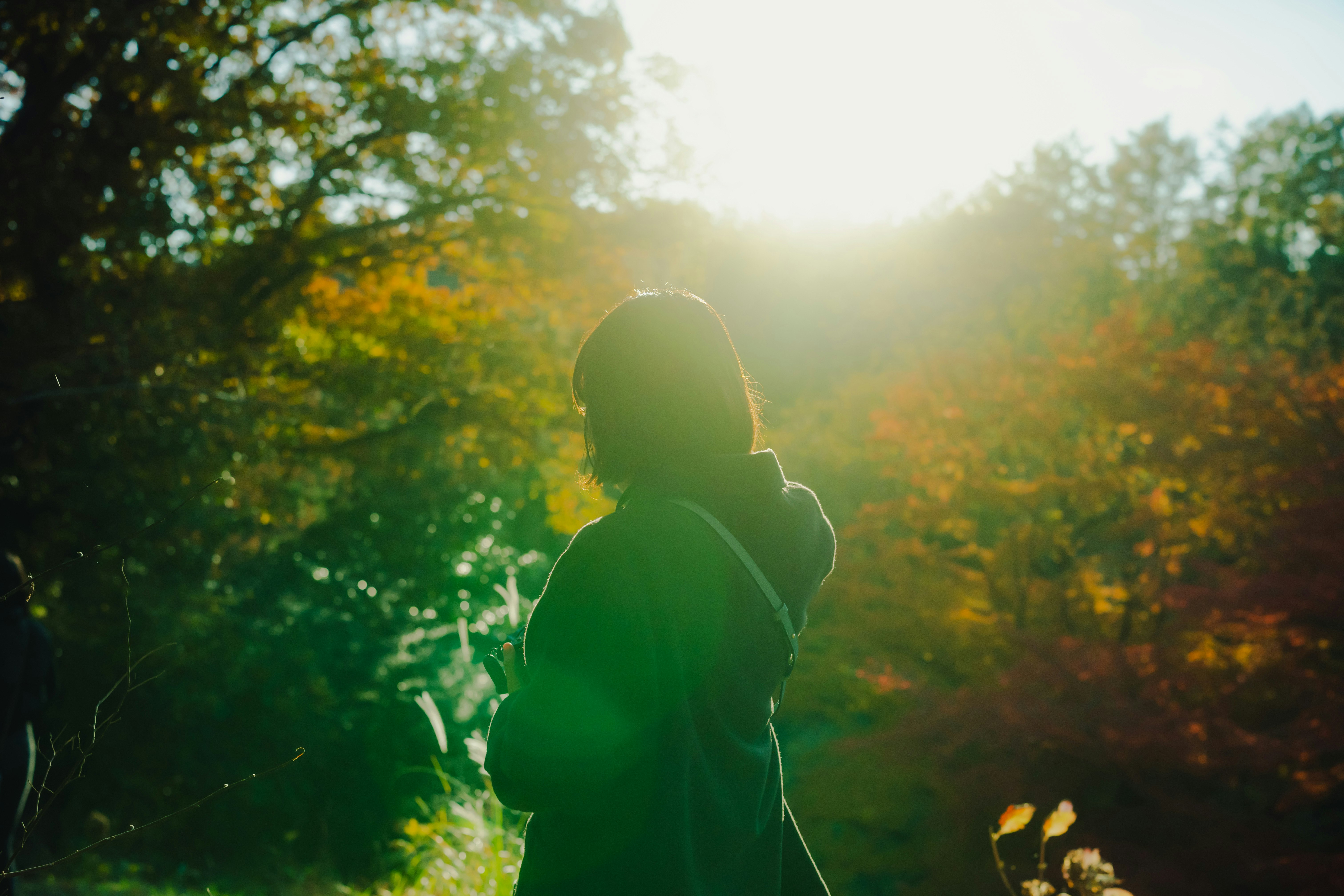 2025-11-magic-of-backlighting-cover-image