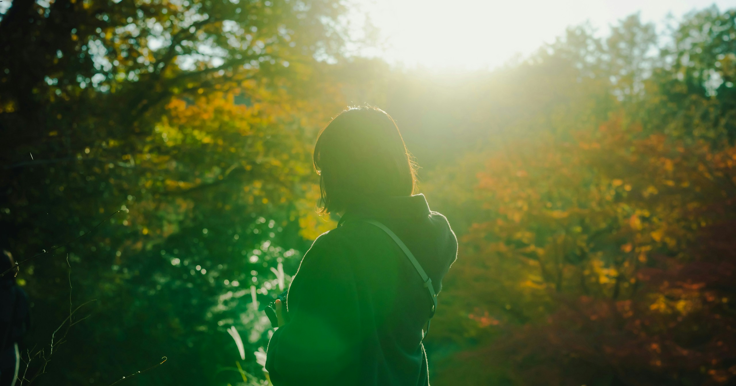 The Magical Moments Created by Backlighting: Photography Techniques to Harness the Power of Light | Knowledge #390