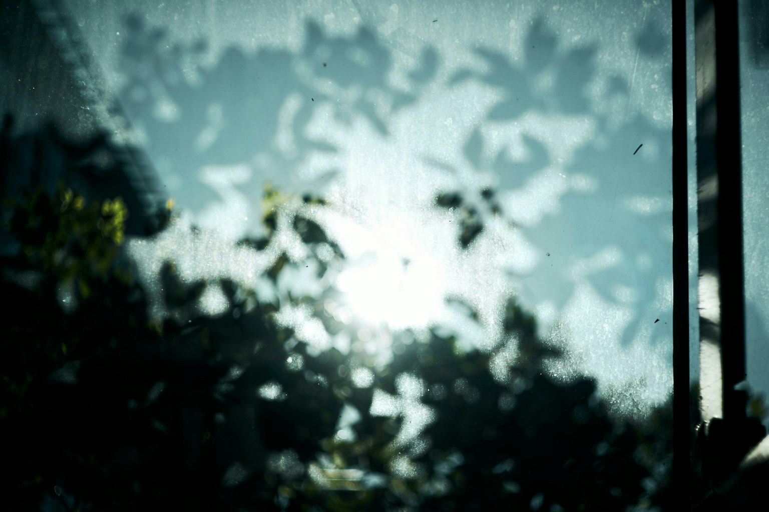 2025-07-kita-snap-philosophy-ilce-7s-image-11
