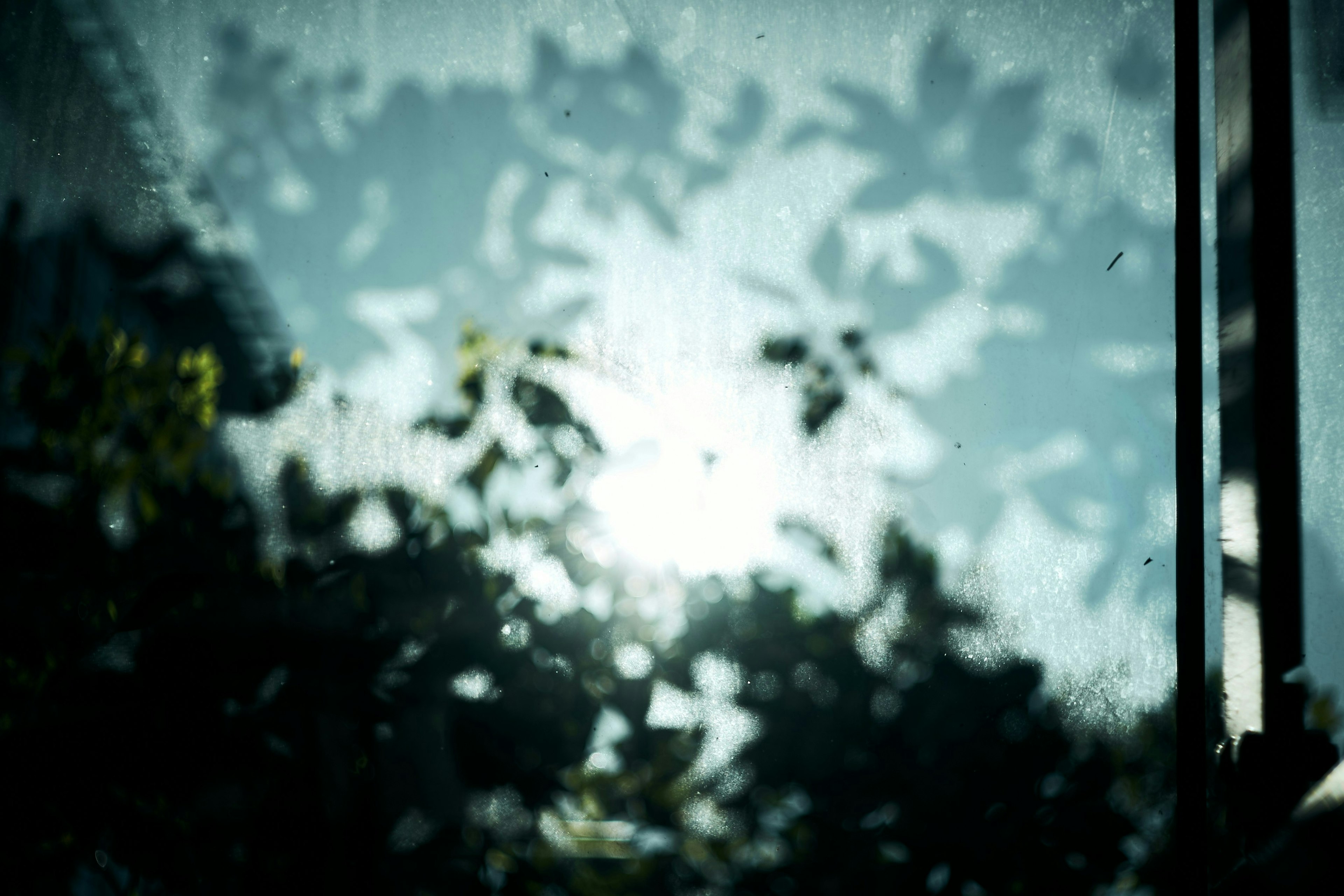 2025-07-kita-snap-philosophy-ilce-7s-image-11