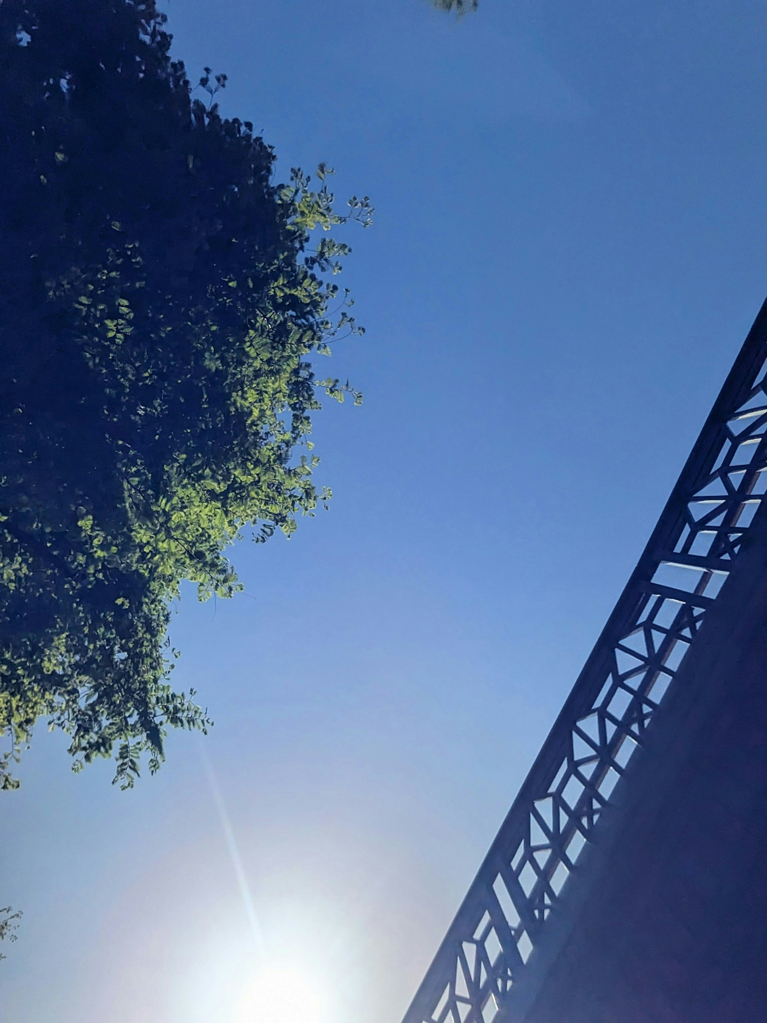 2025-11-youth-lives-within-image-5