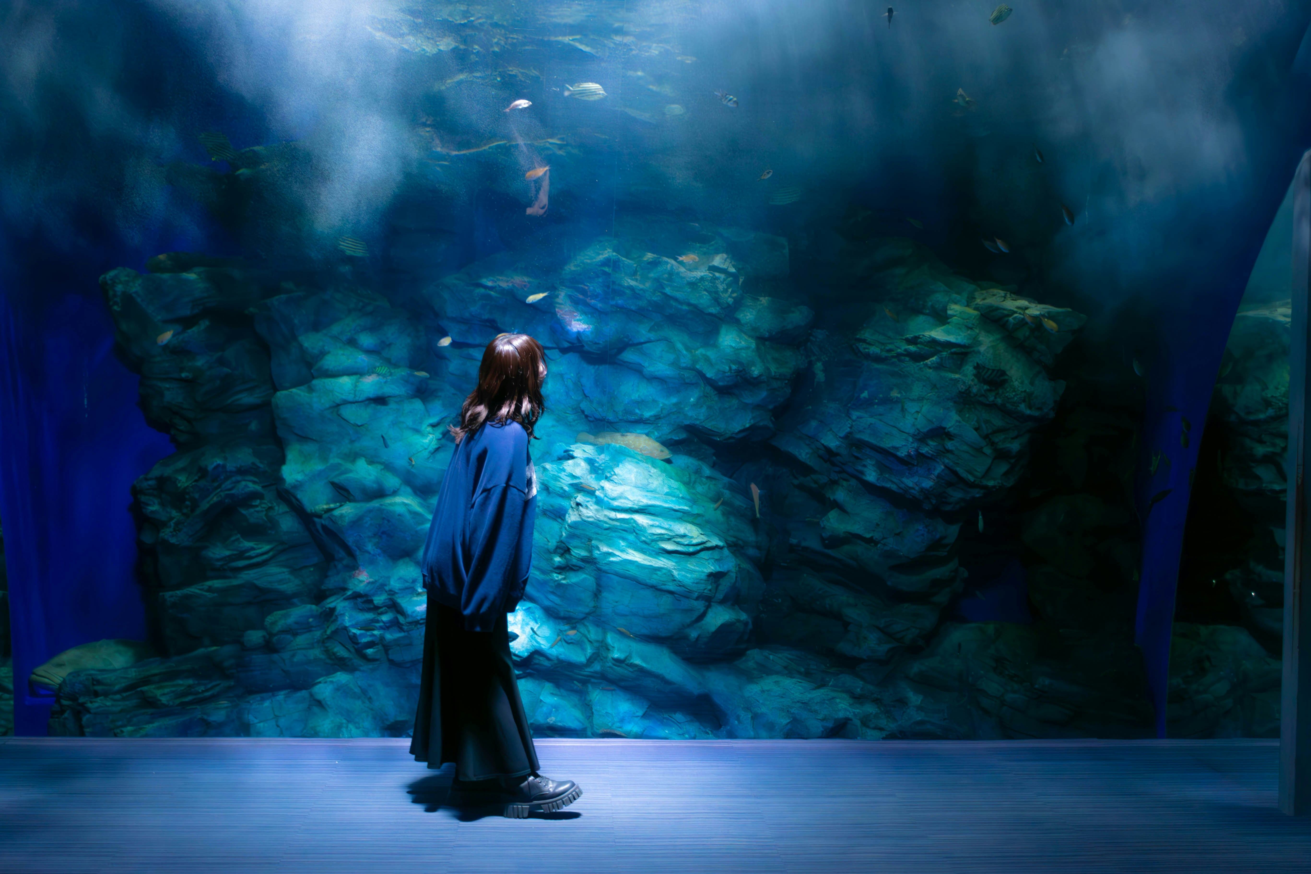 2026-04-ppp-in-fukuoka-cover-image