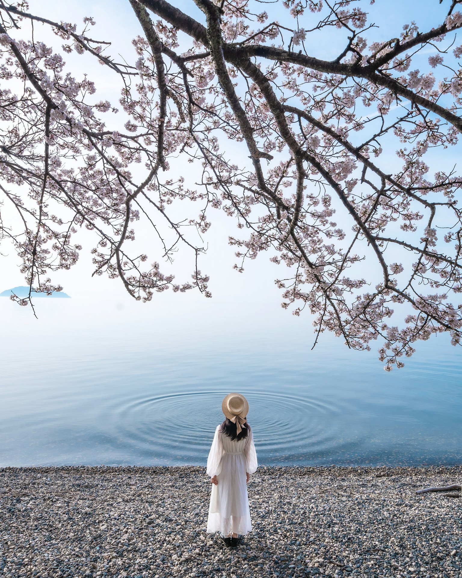 2024-04-spotlight-by-rashi-zuki-fujikko-image-9