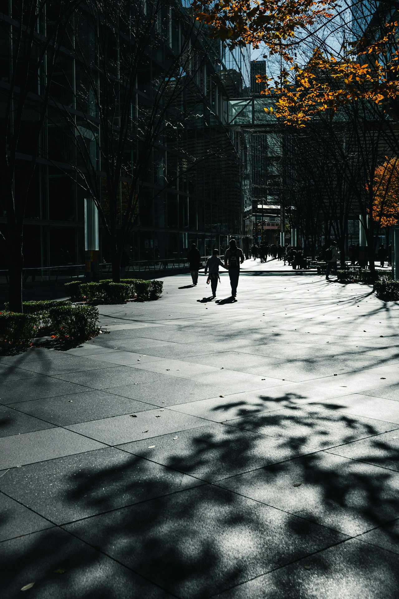 Fotografía de むめい