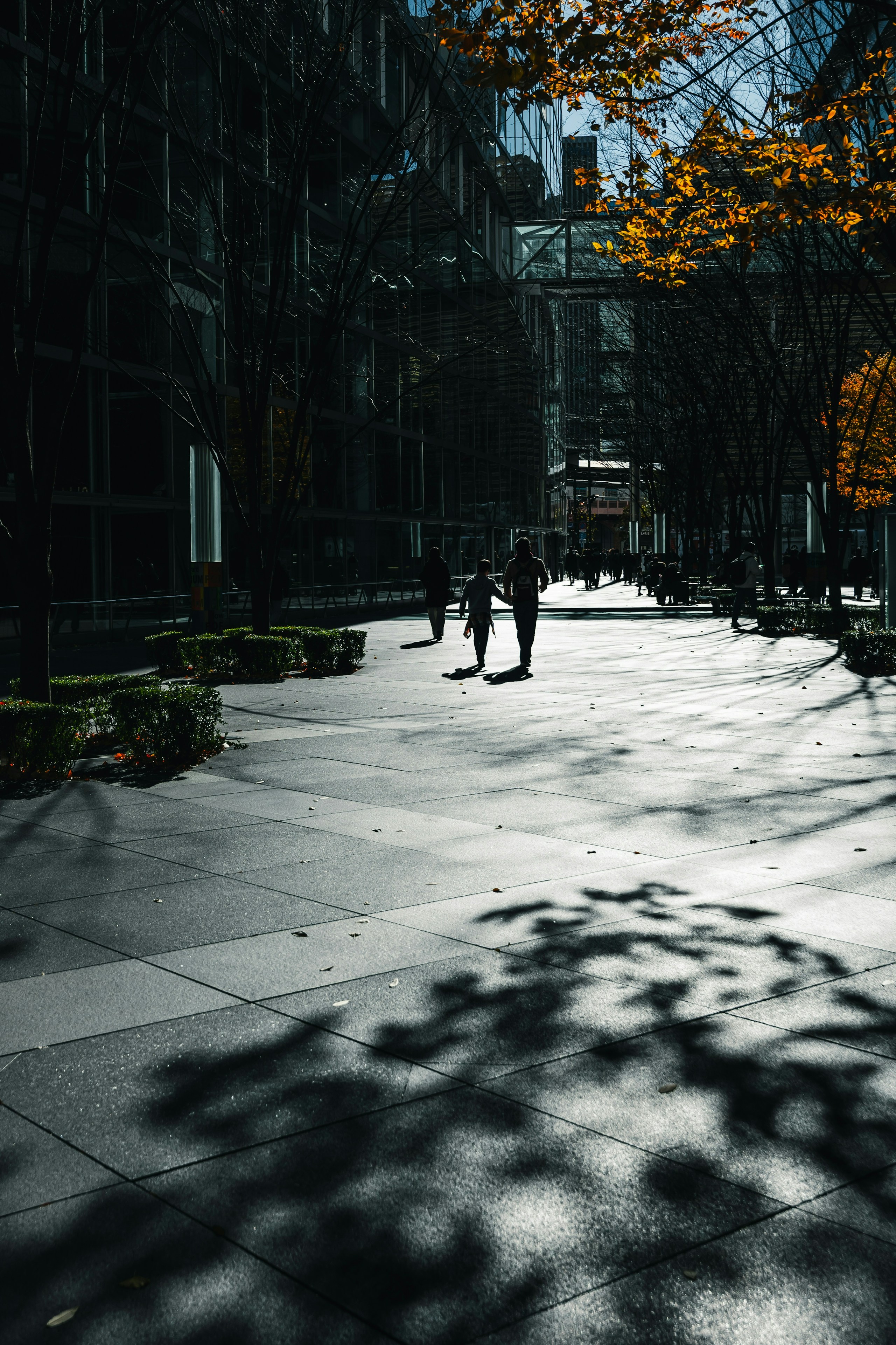 2026-08-canon-eos-r3-weightless-shooting-image-15