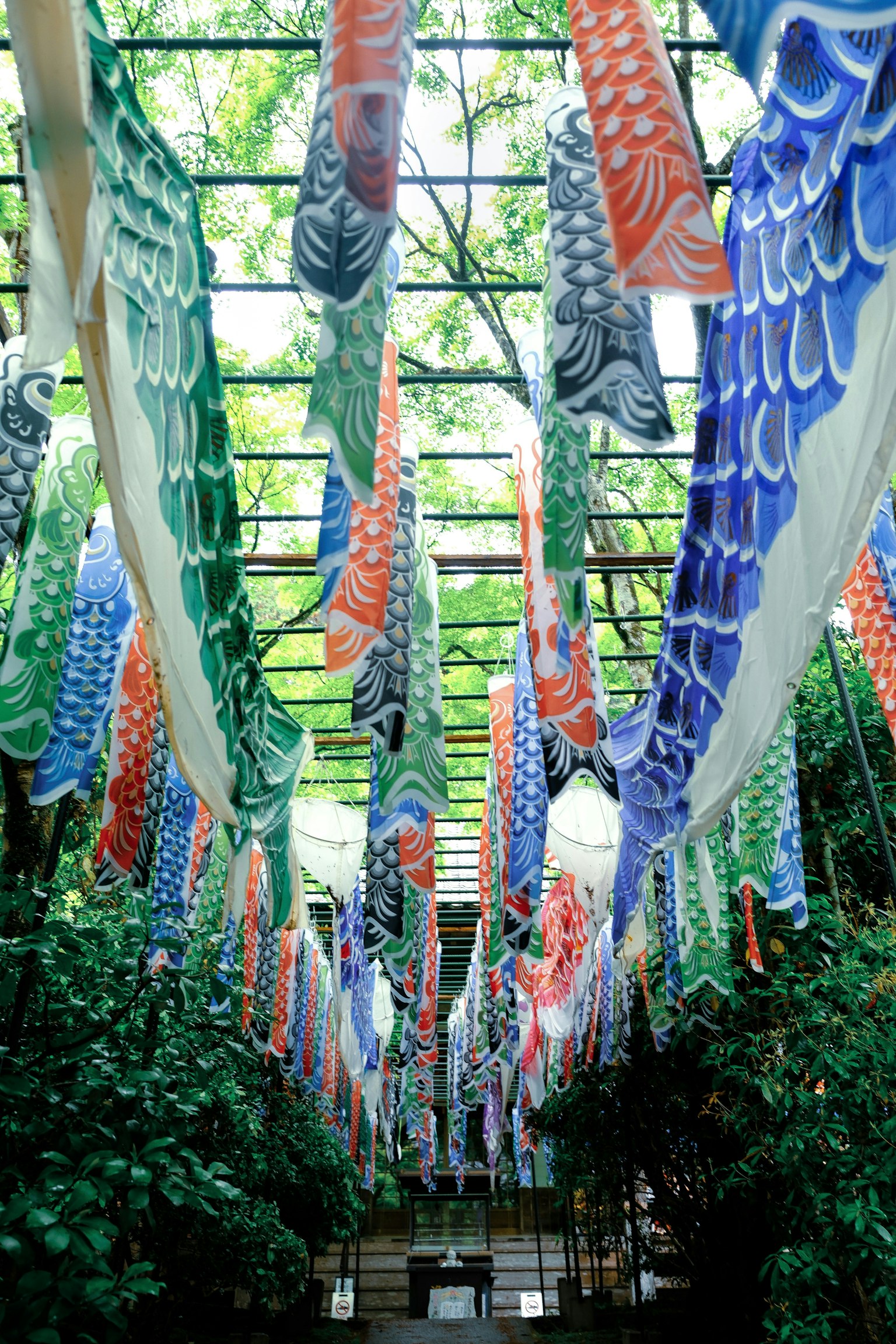 2025-07-ppp-review-by-aki-image-13