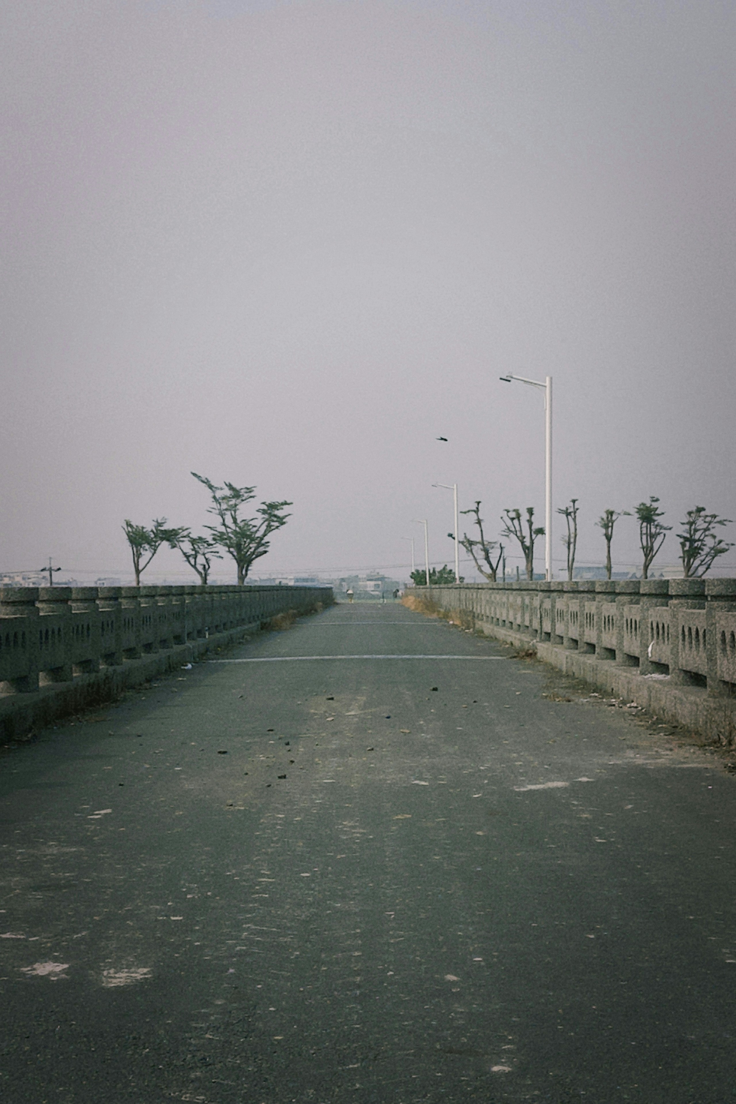 2026-05-find-new-pieces-road-image-30