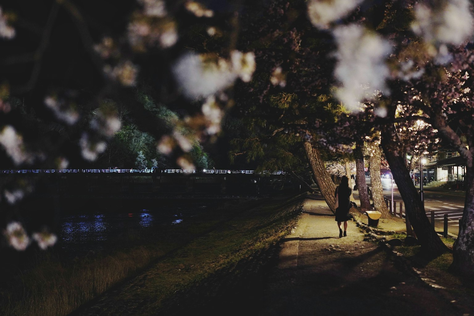 2024-04-hikari-2-image-15