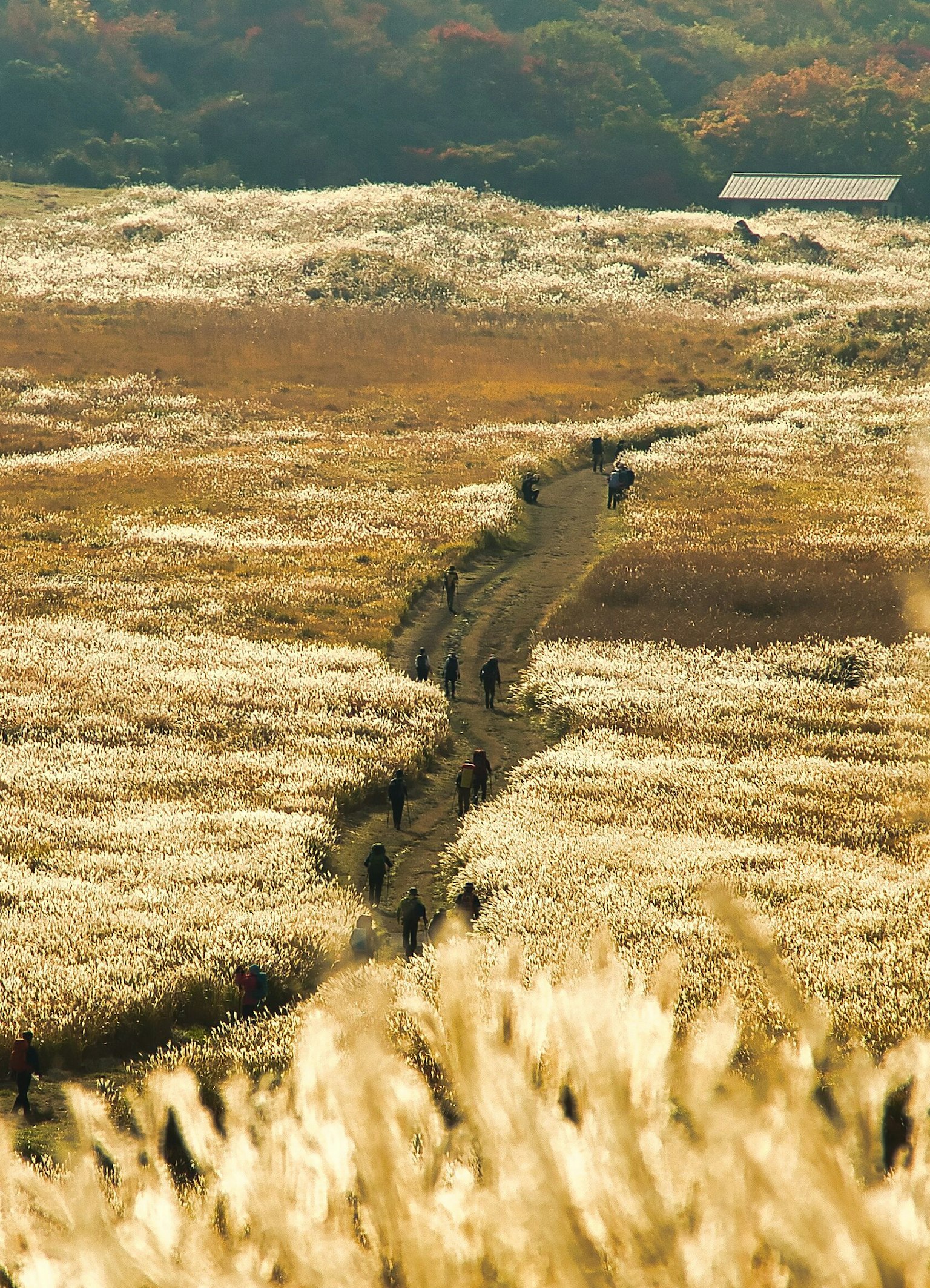 2023-10-fall-in-autumn-award-image-5