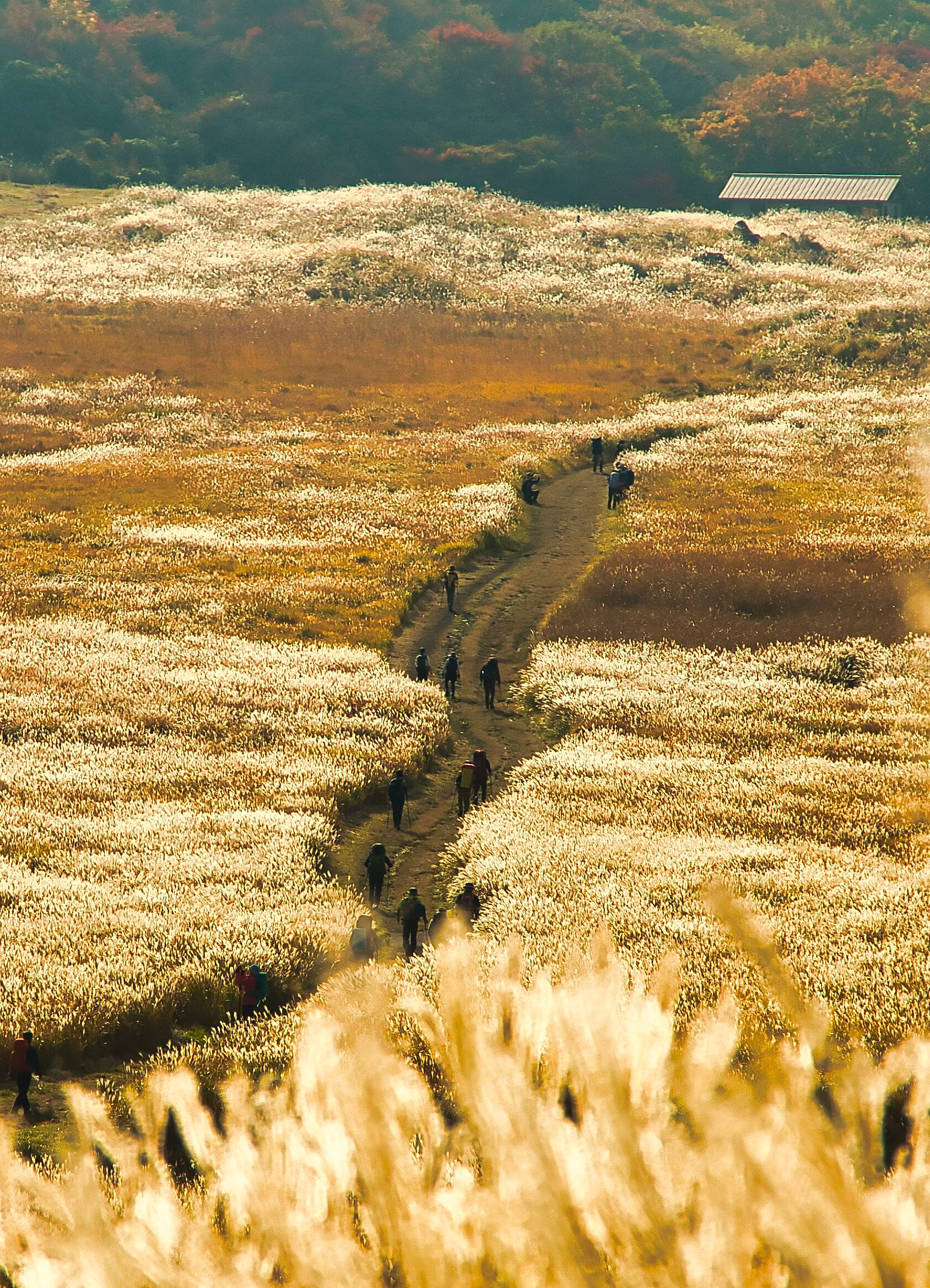 2023-10-fall-in-autumn-award-image-5