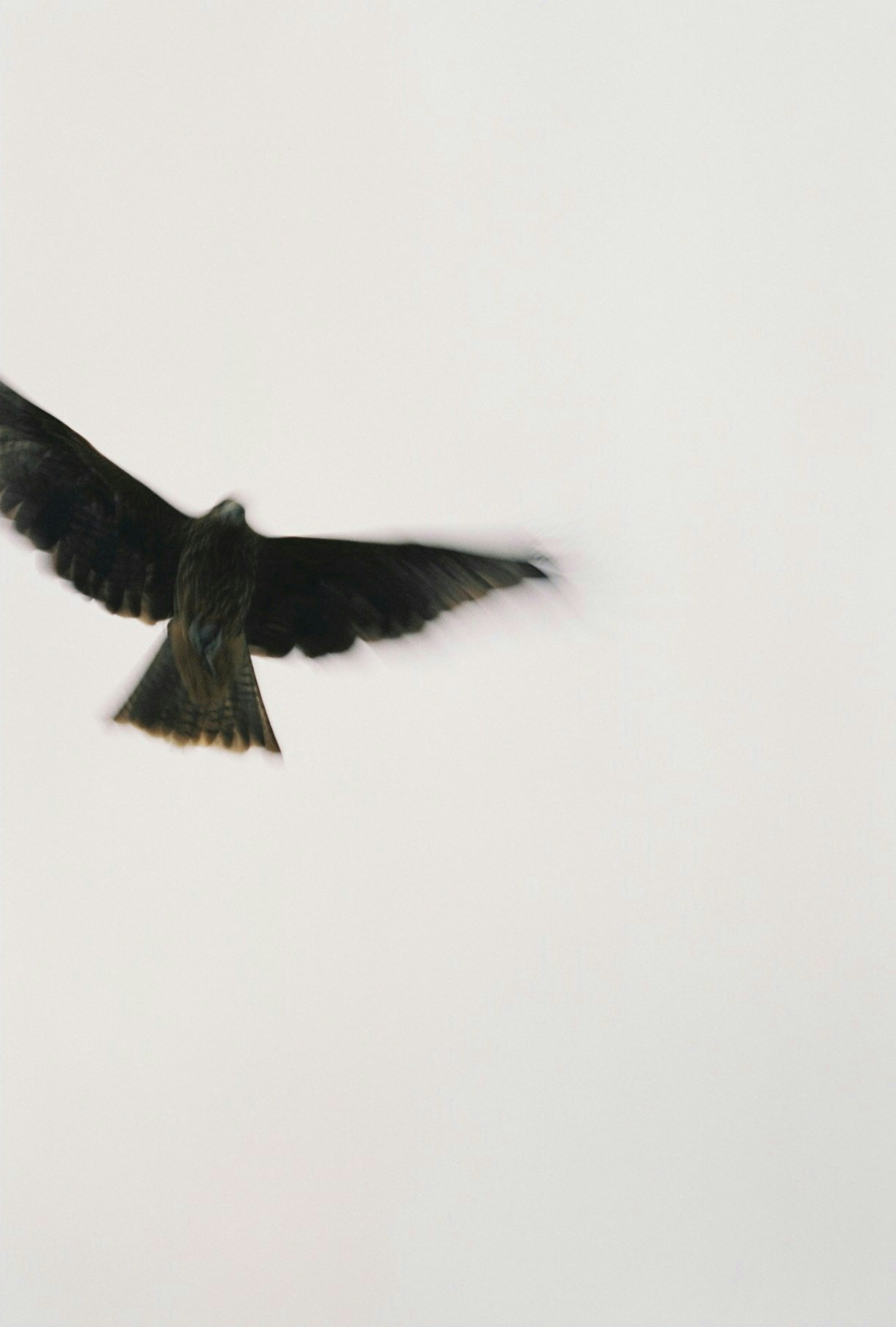 2026-06-negative-space-photography-image-4