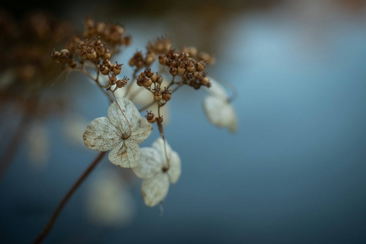 2024-04-how-to-take-fragile-photoes-image-9