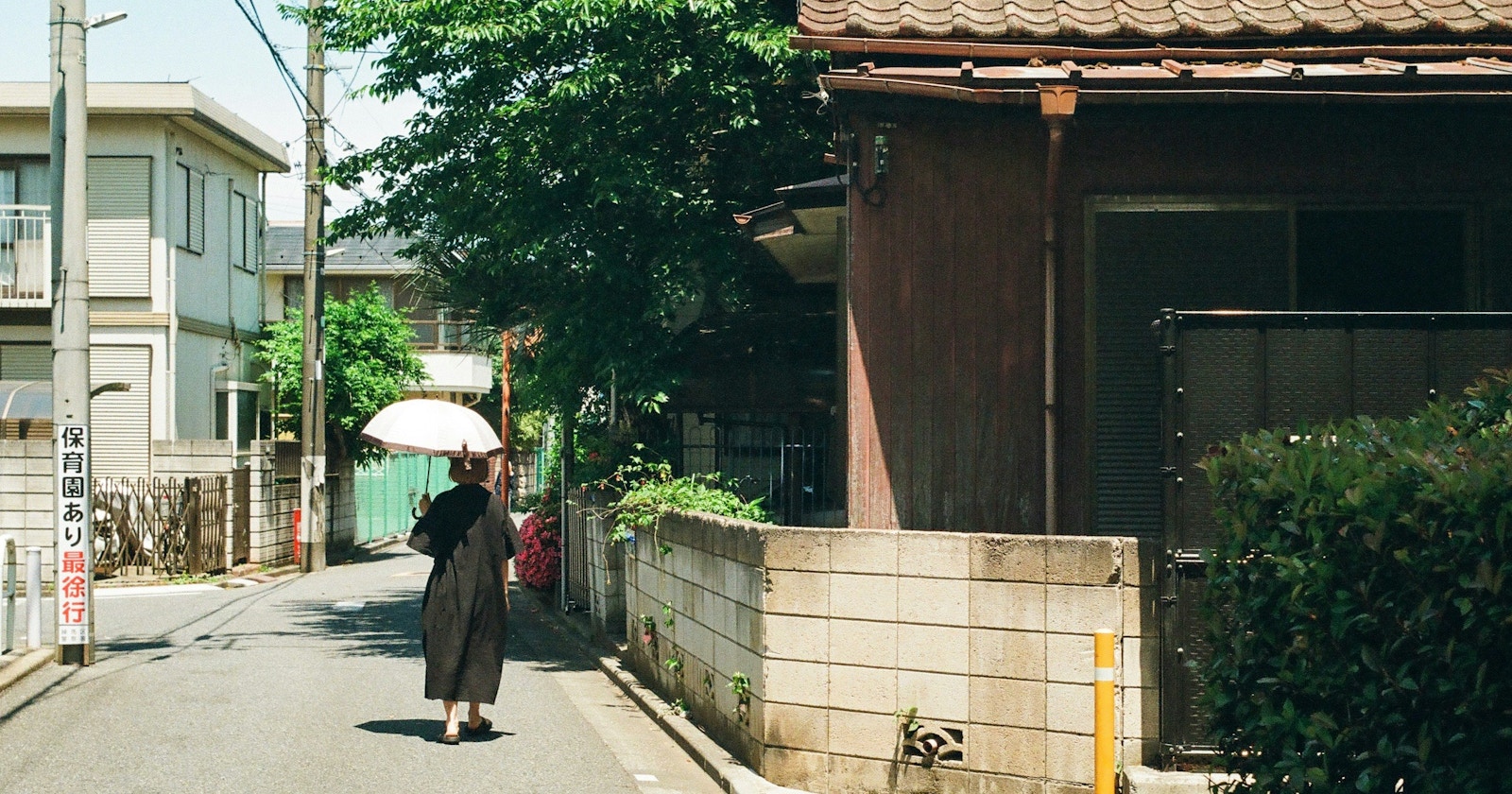 #初夏 | 暑さ以上にフォトジェニックな季節 | Focus #486