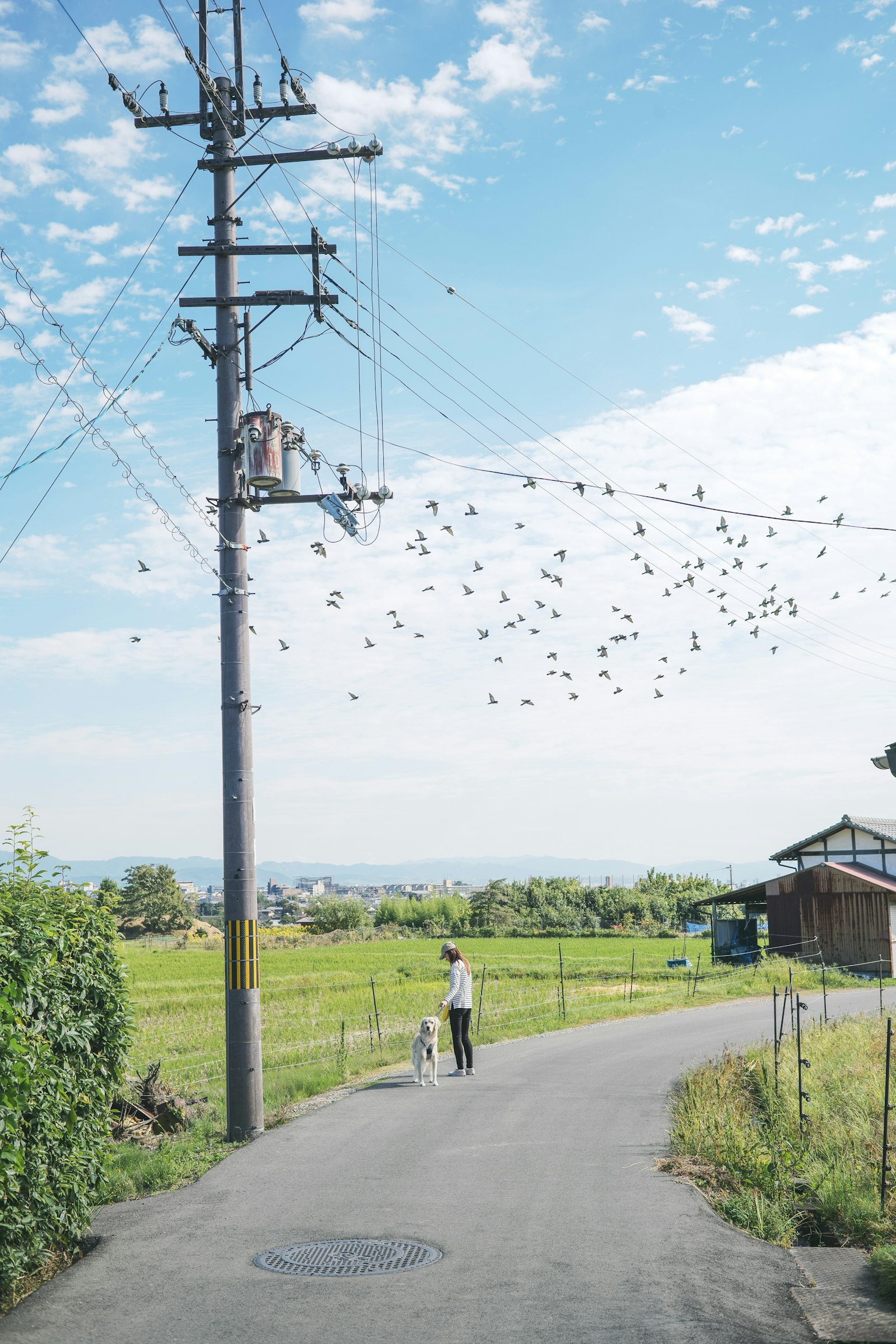 2024-04-inaka-photography-image-6