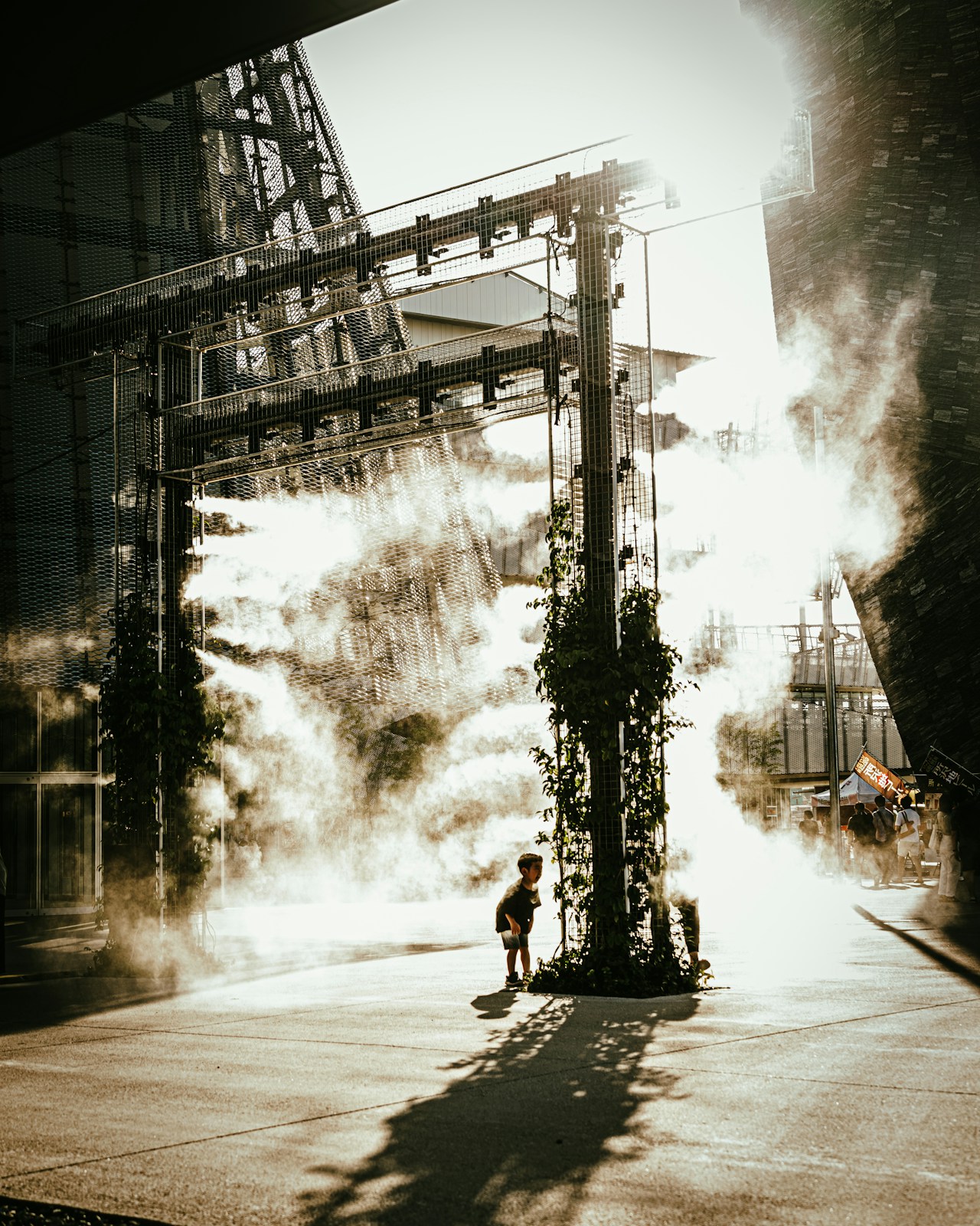 Photo by Loui