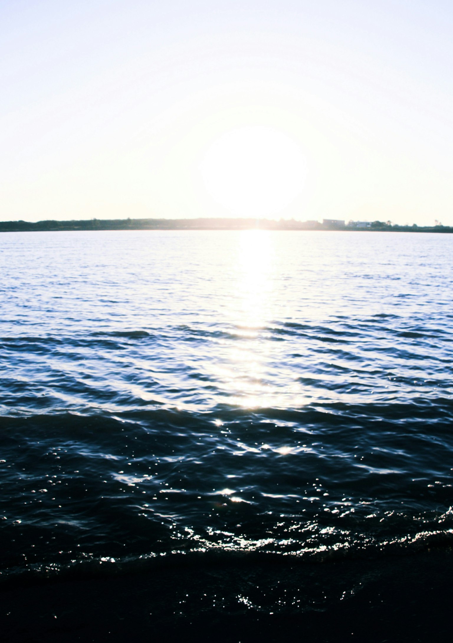 2025-06-ppp-review-by-sho-sato-image-13