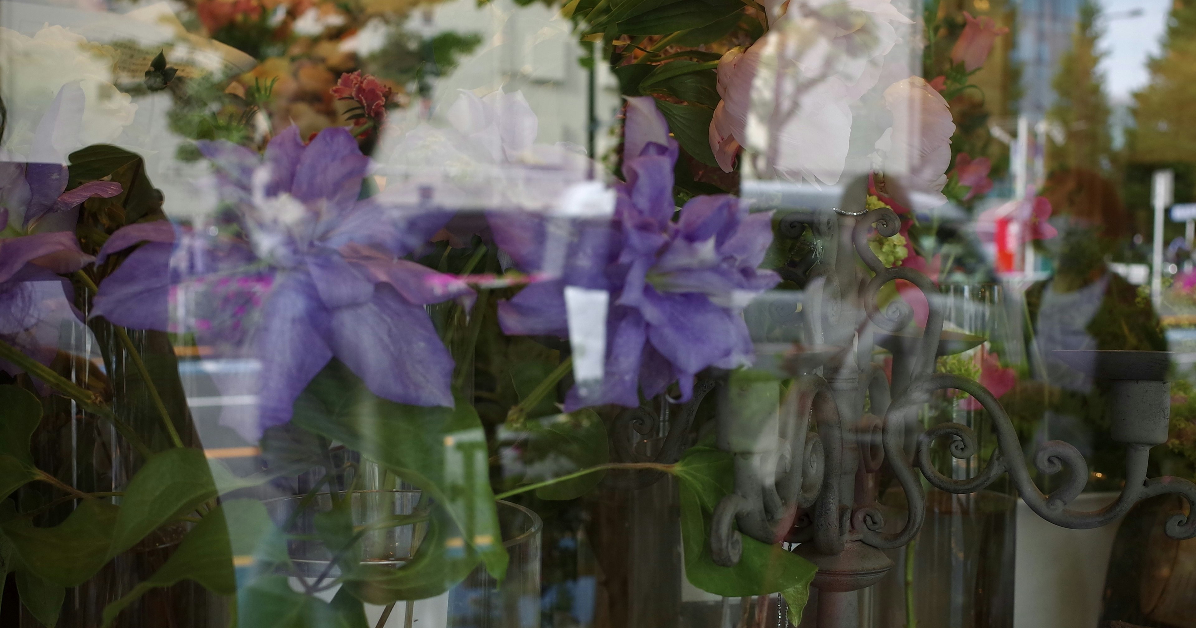 2024-08-3-best-digital-camera-cover-image