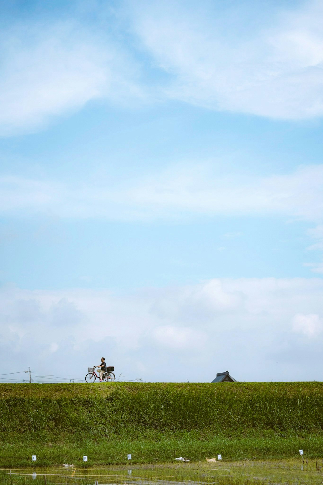 2025-02-pick-up-photos-no-49-53-image-3