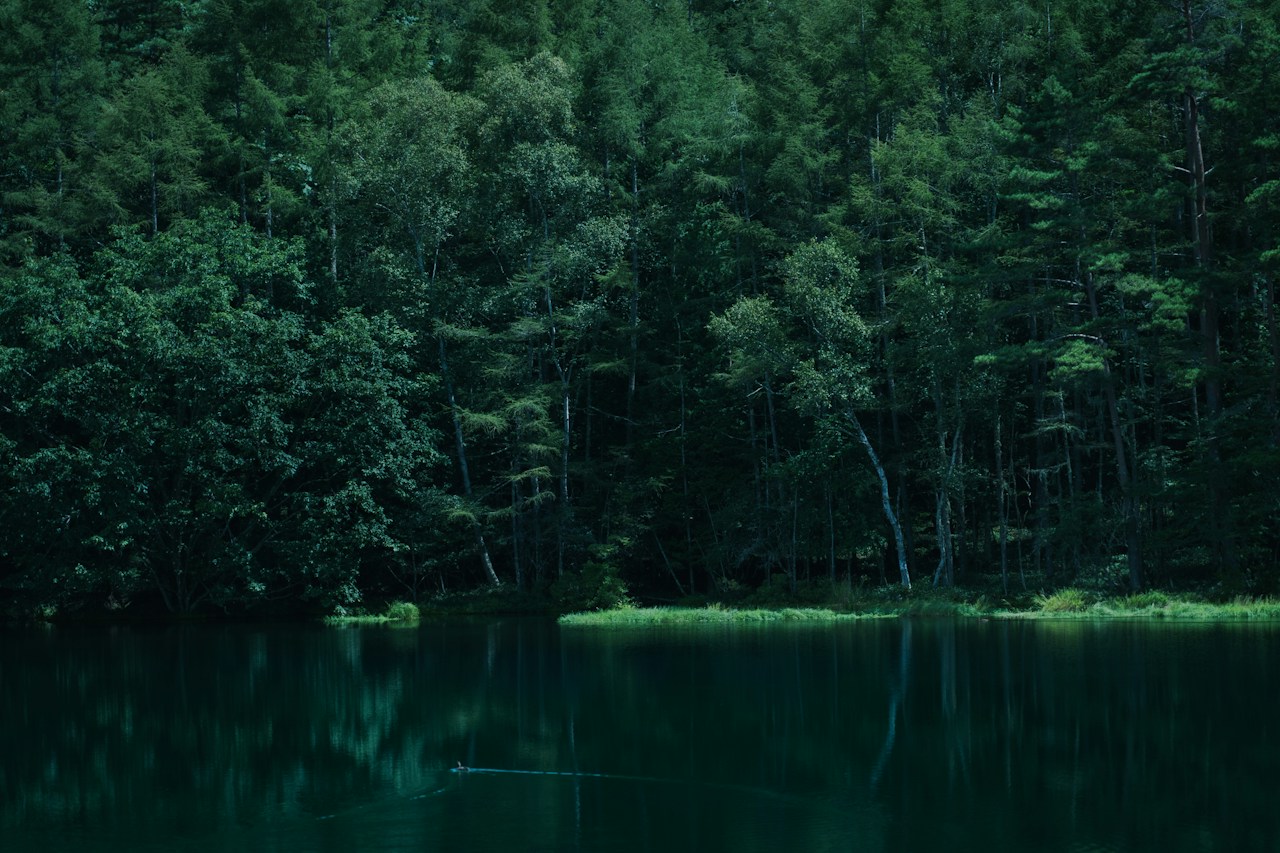 Image by Mori