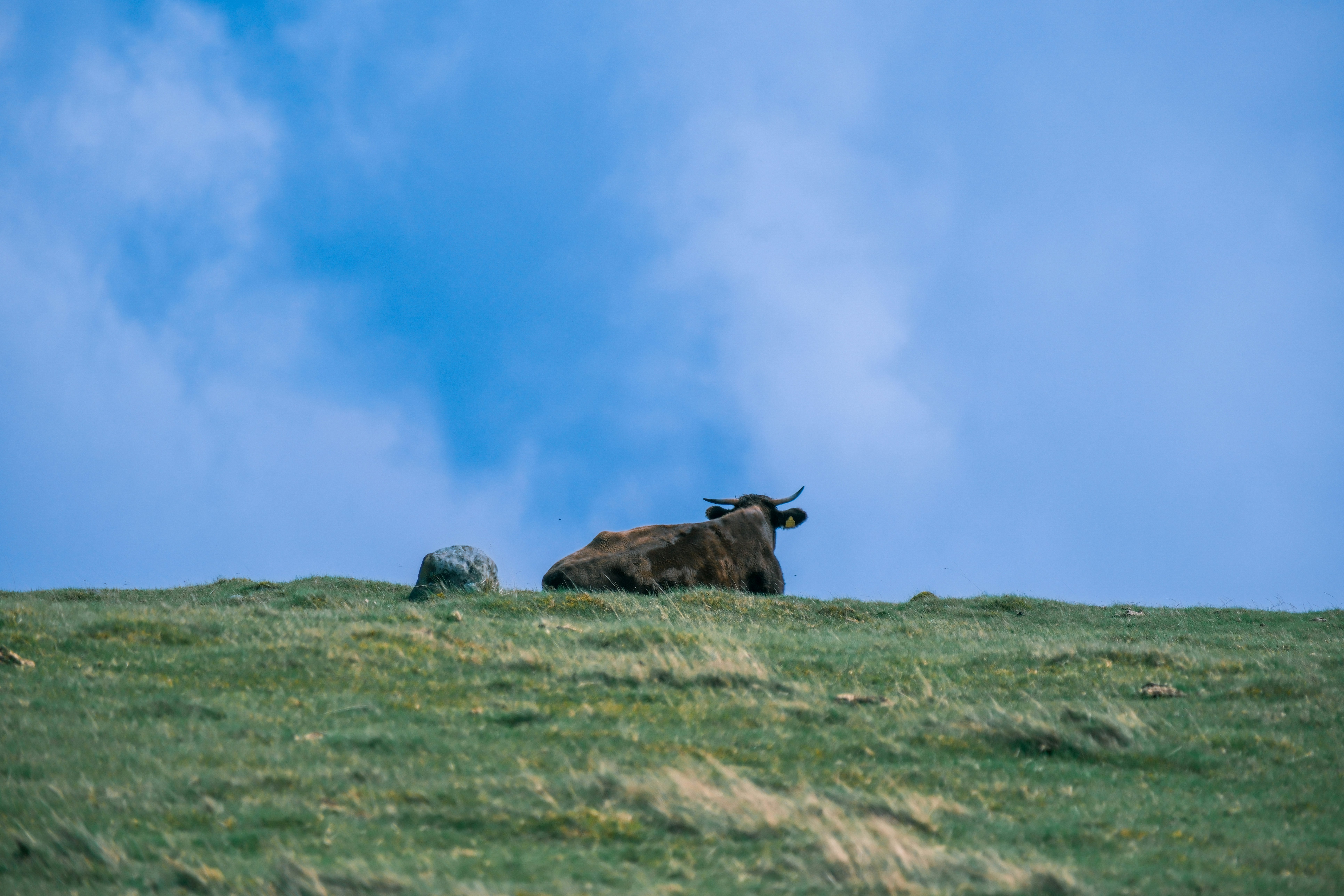 2025-11-centered-composition-report-cover-image