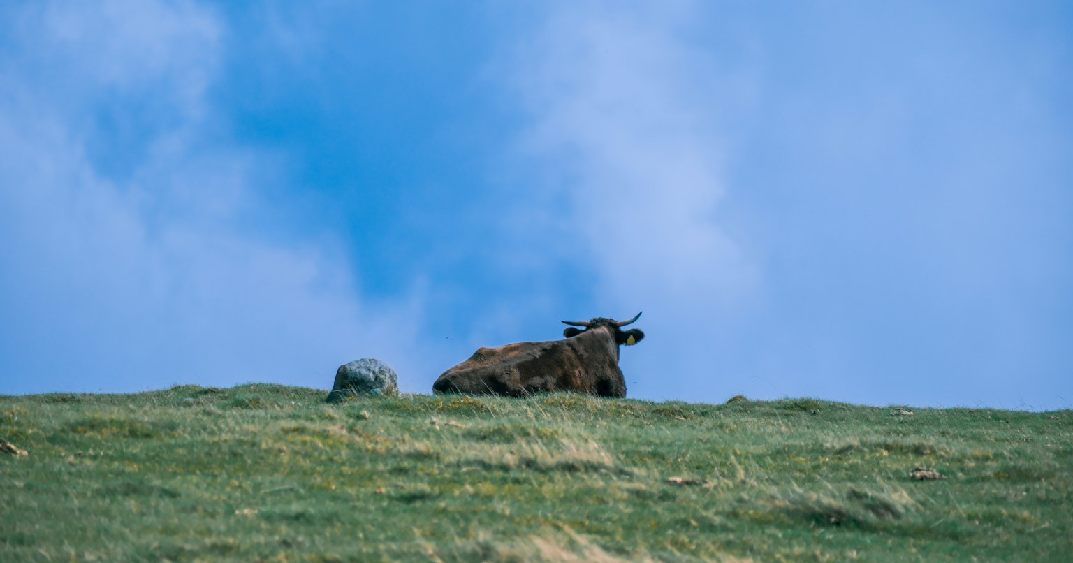 2025-11-centered-composition-report-cover-image