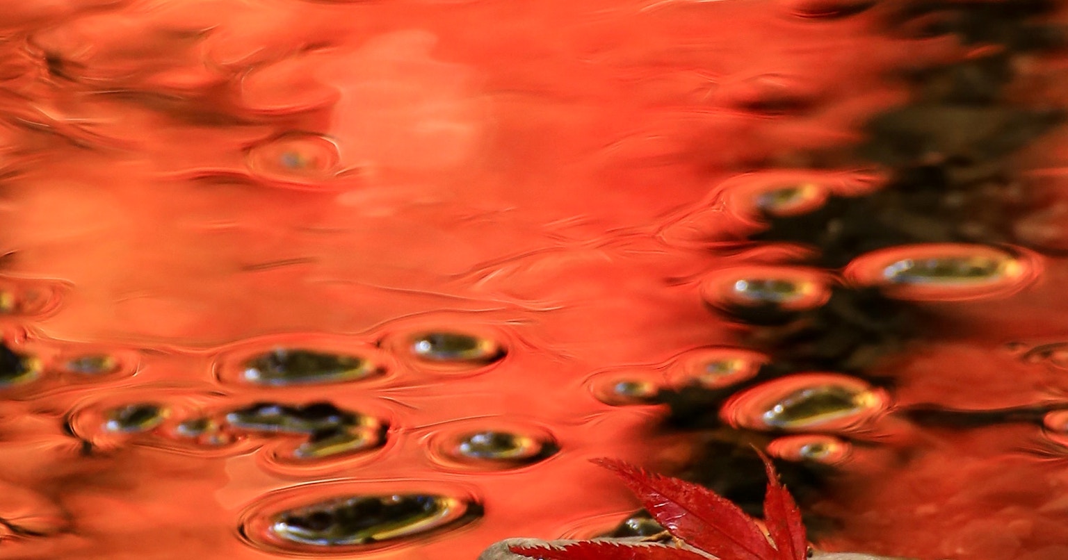 2024-02-daily-palette-cover-image