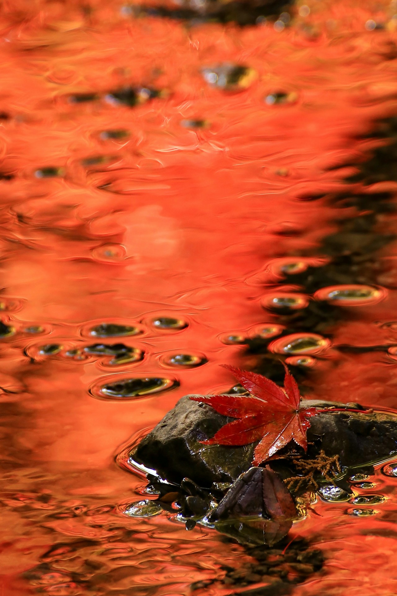 Image by 橋向 真