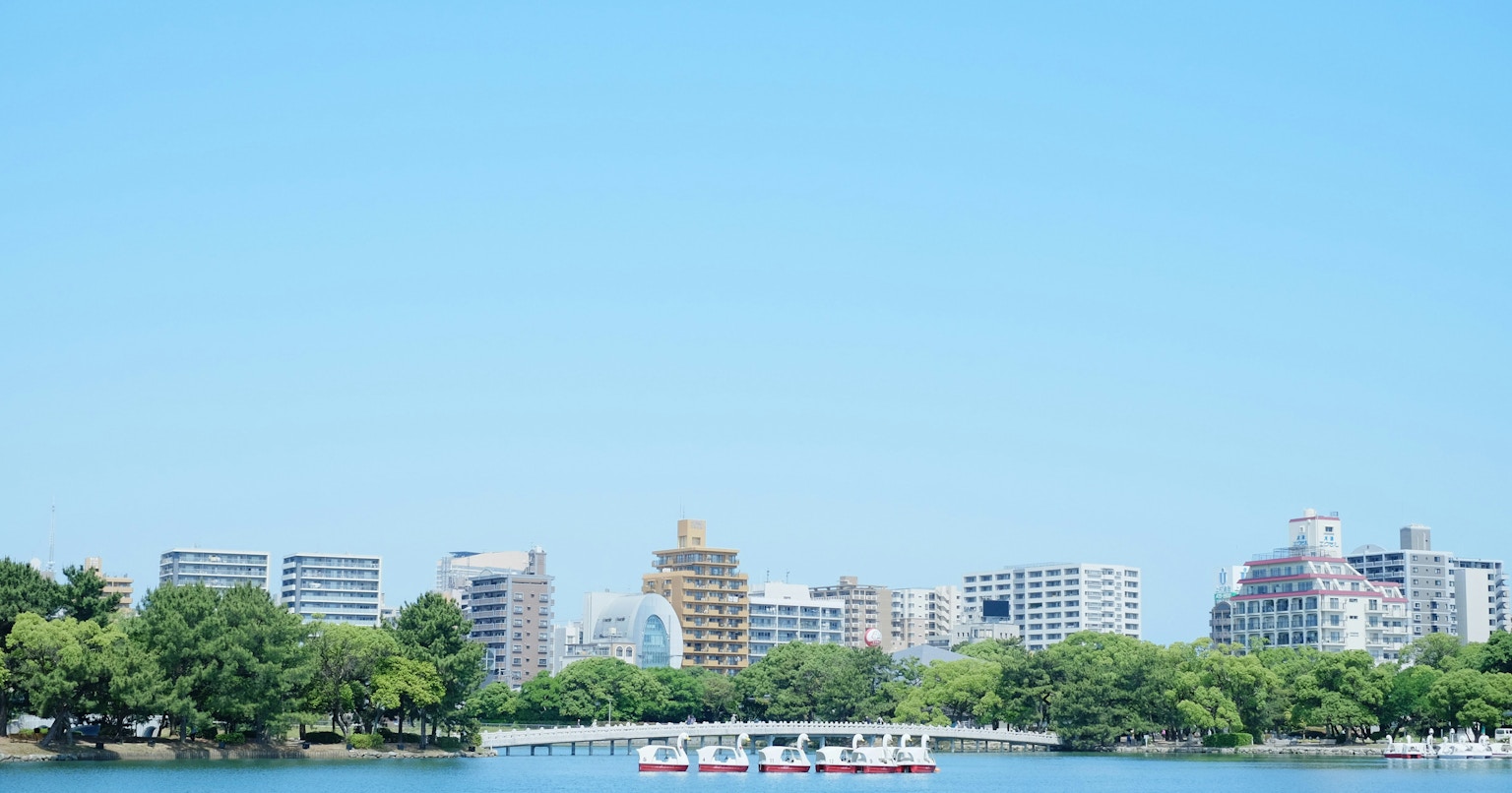 6 Negozi di Fotocamere da Visitare a Fukuoka | Knowledge #155