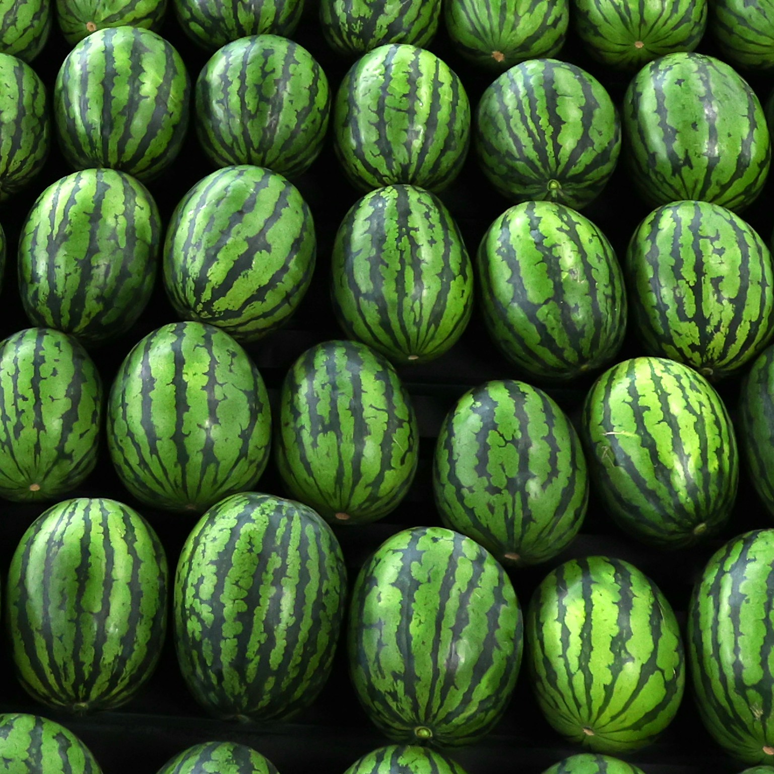2024-05-focus-on-color-green-cover-image