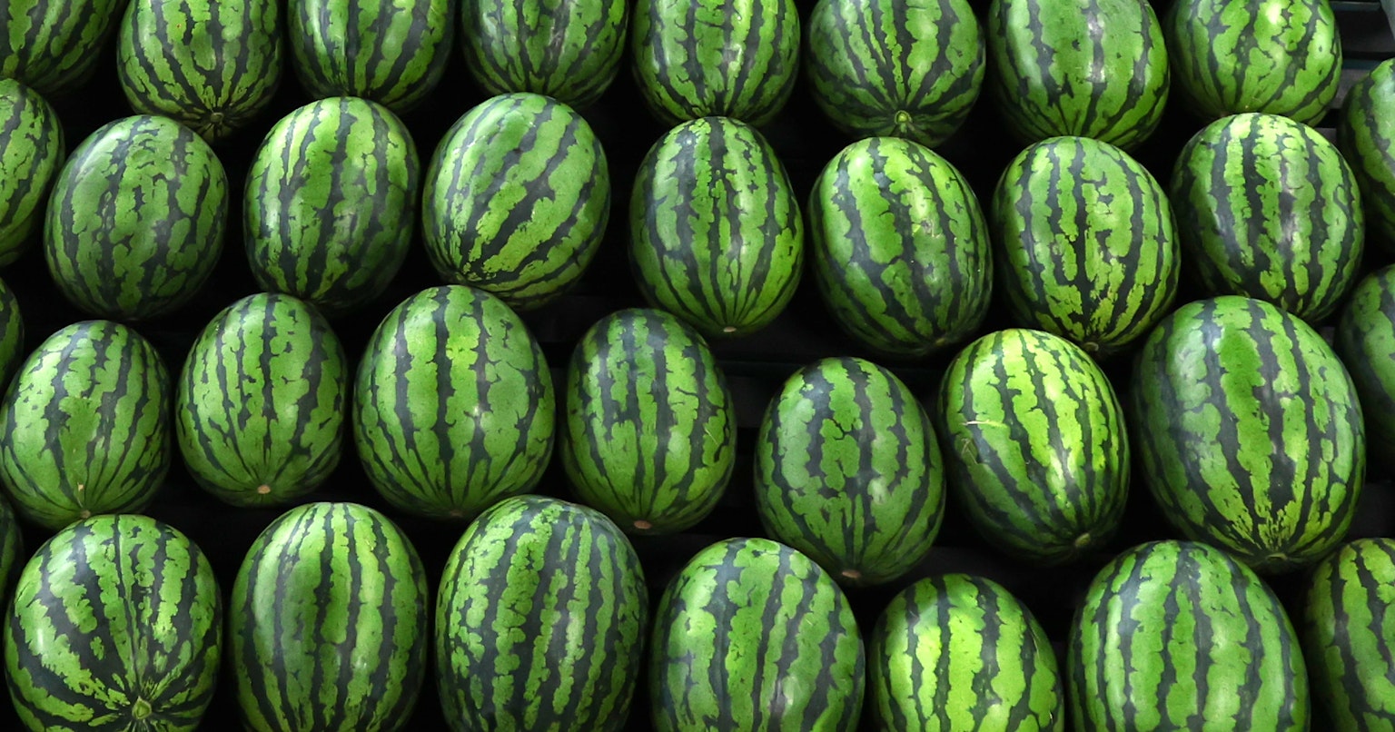 2024-05-focus-on-color-green-cover-image