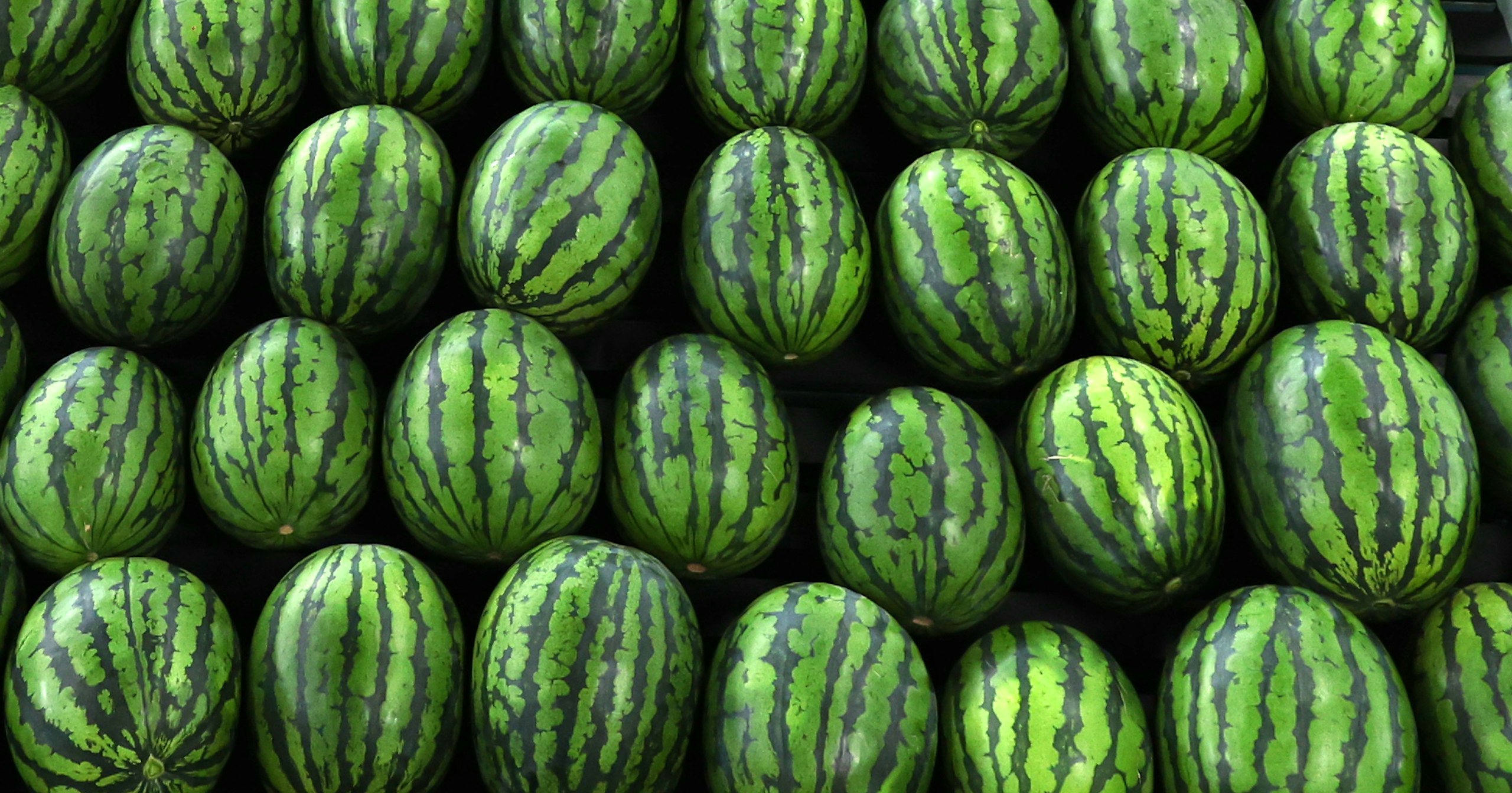 2024-05-focus-on-color-green-cover-image