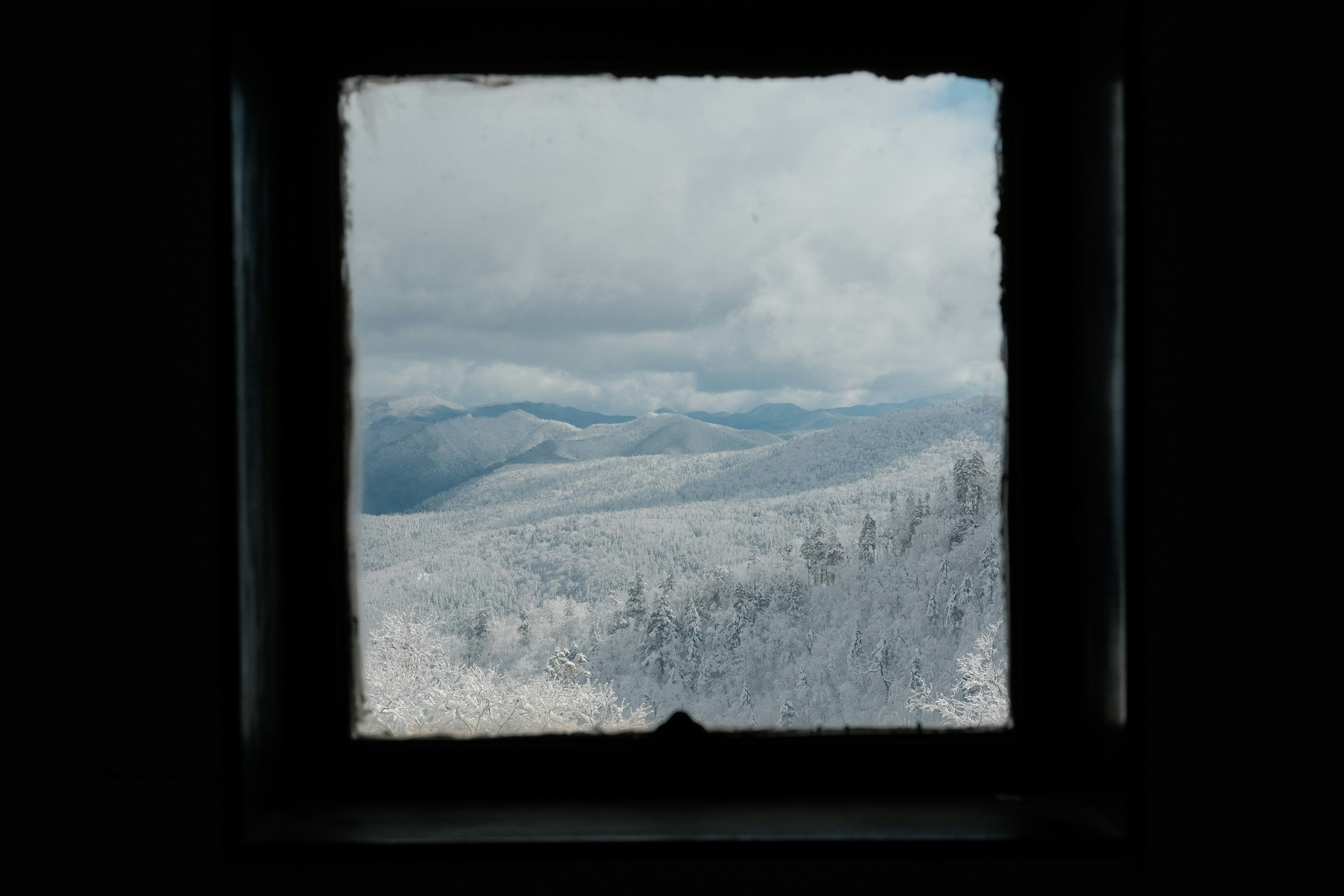 2026-01-find-new-pieces-winter-cover-image