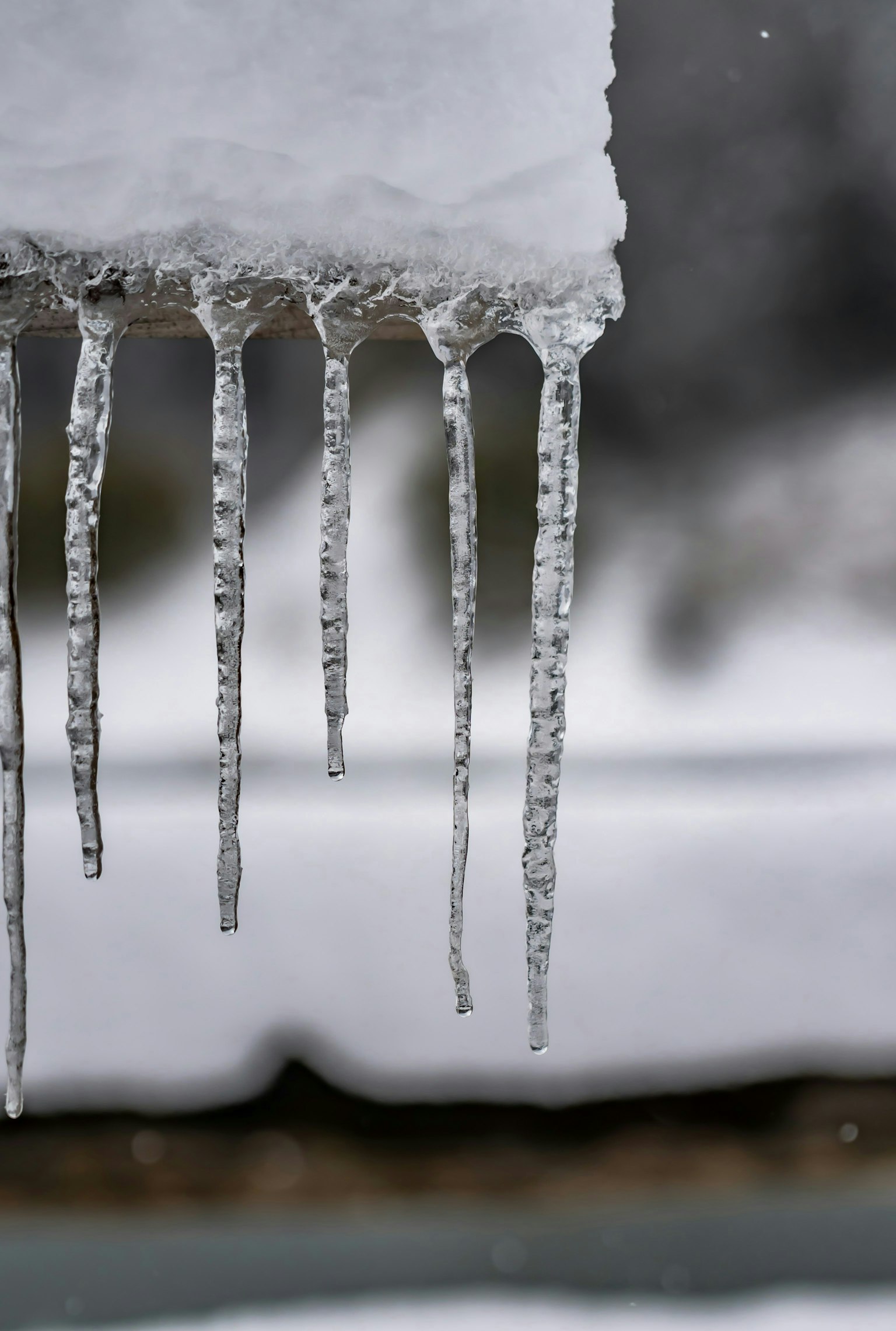 2025-03-pick-up-photos-no-59-63-image-5