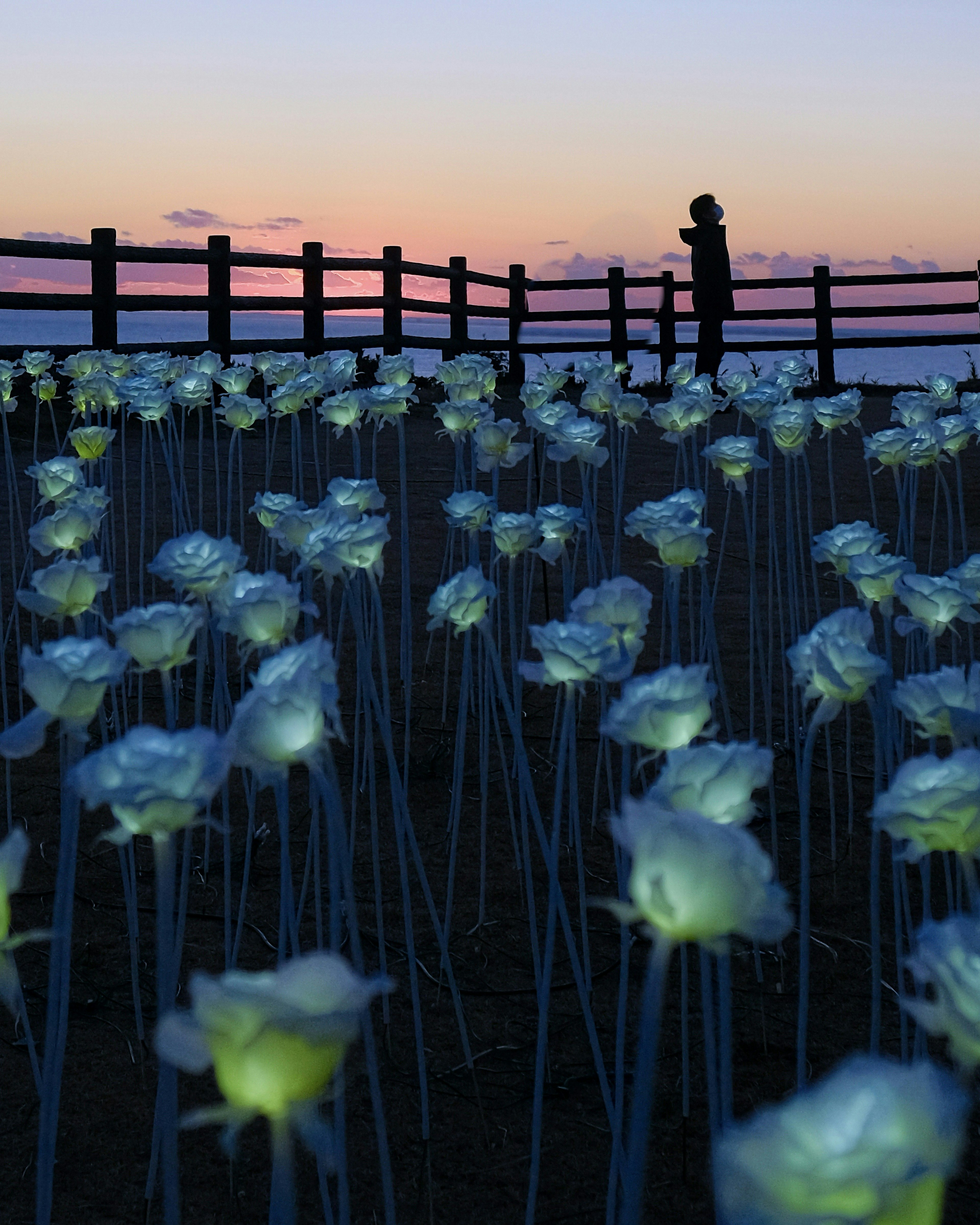 2024-11-chiba-camera-stores-image-2