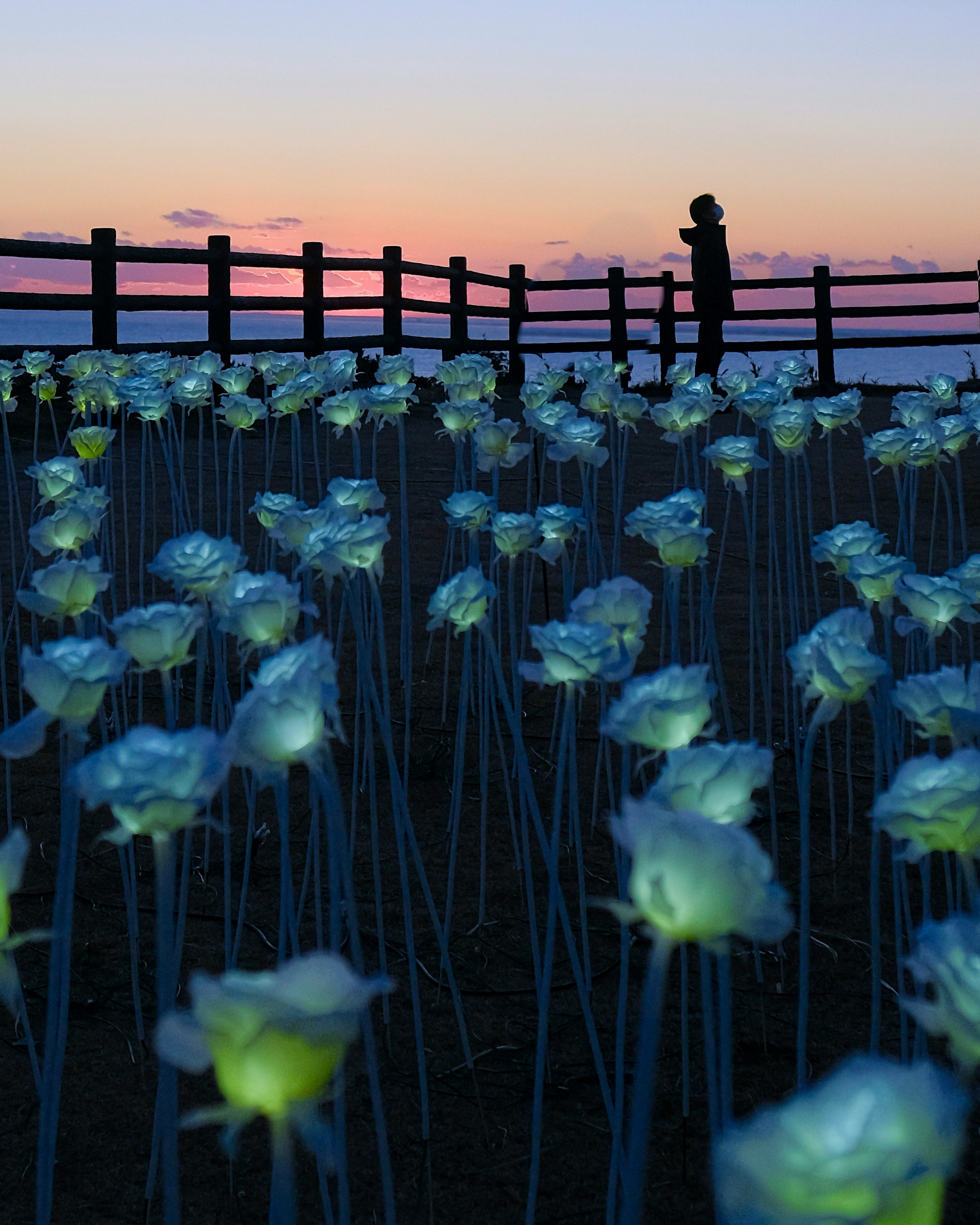 2024-11-chiba-camera-stores-image-2