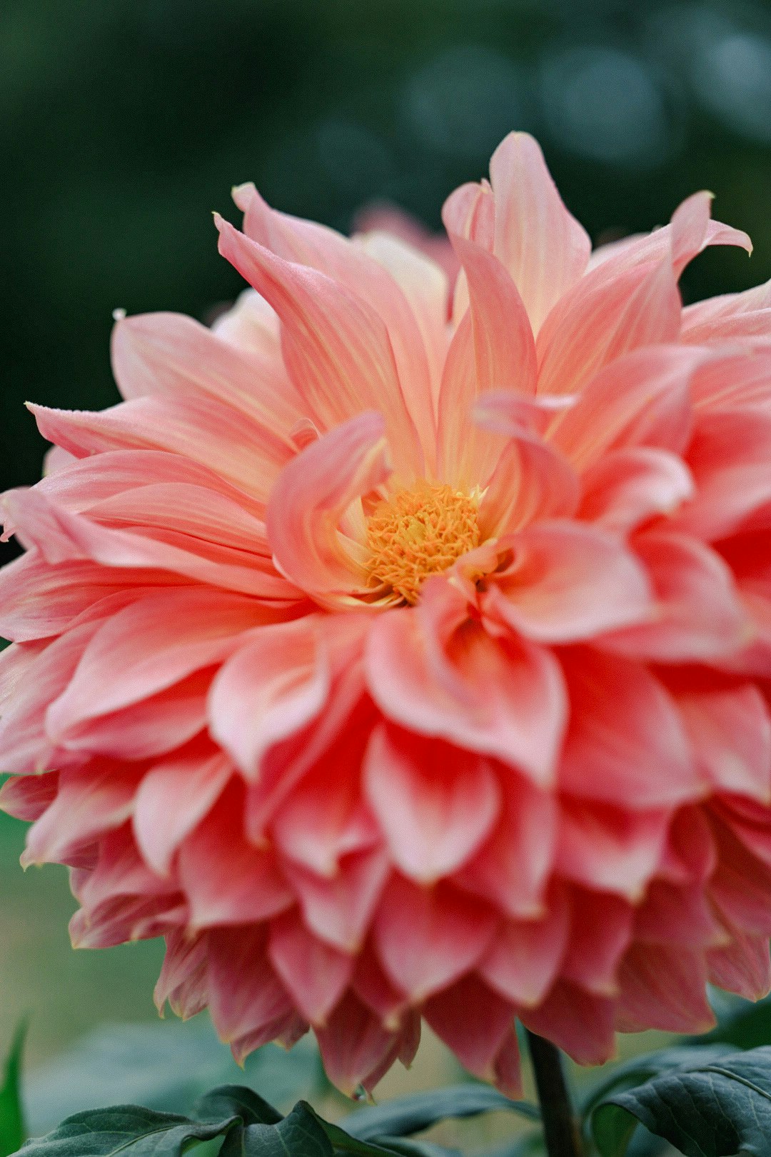2026-03-zoom-in-image-4