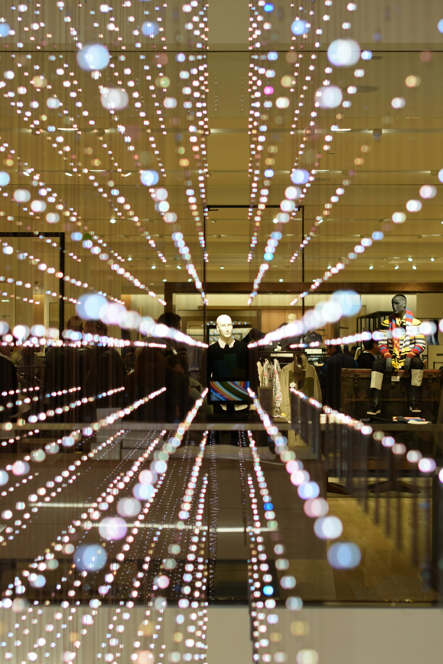 2024-10-your-signature-bokeh-award-image-6