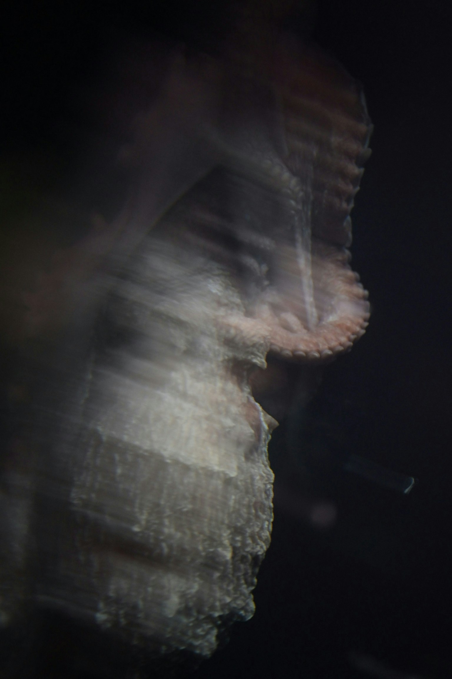 2025-09-imperfect-photography-emotion-image-9