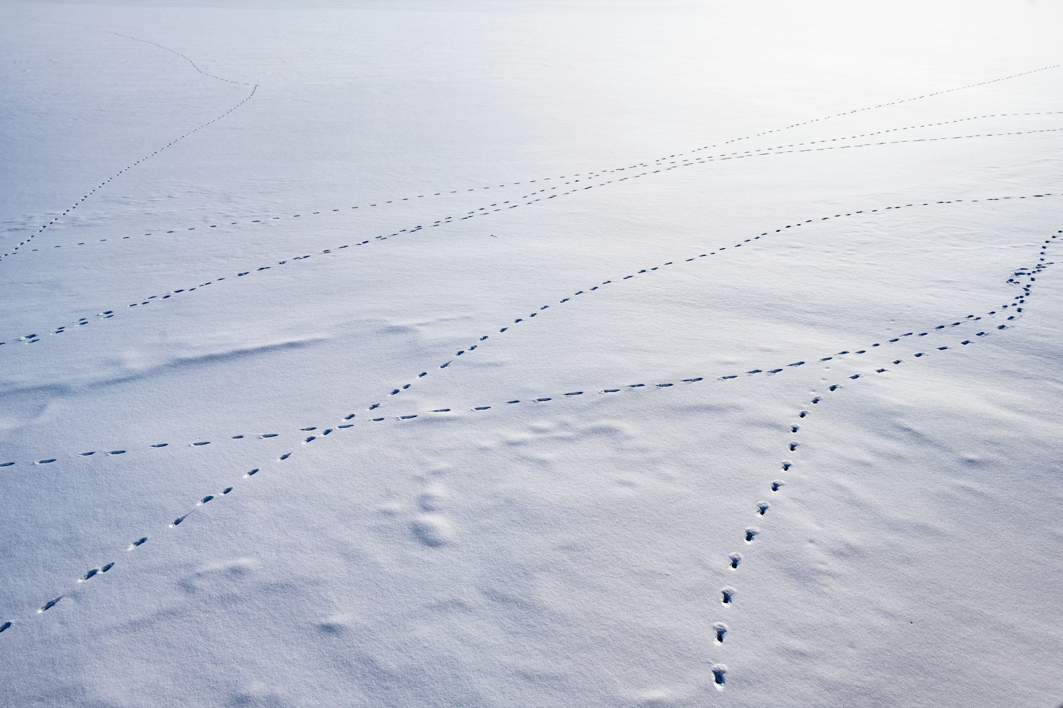 2024-01-find-patterns-award-image-12