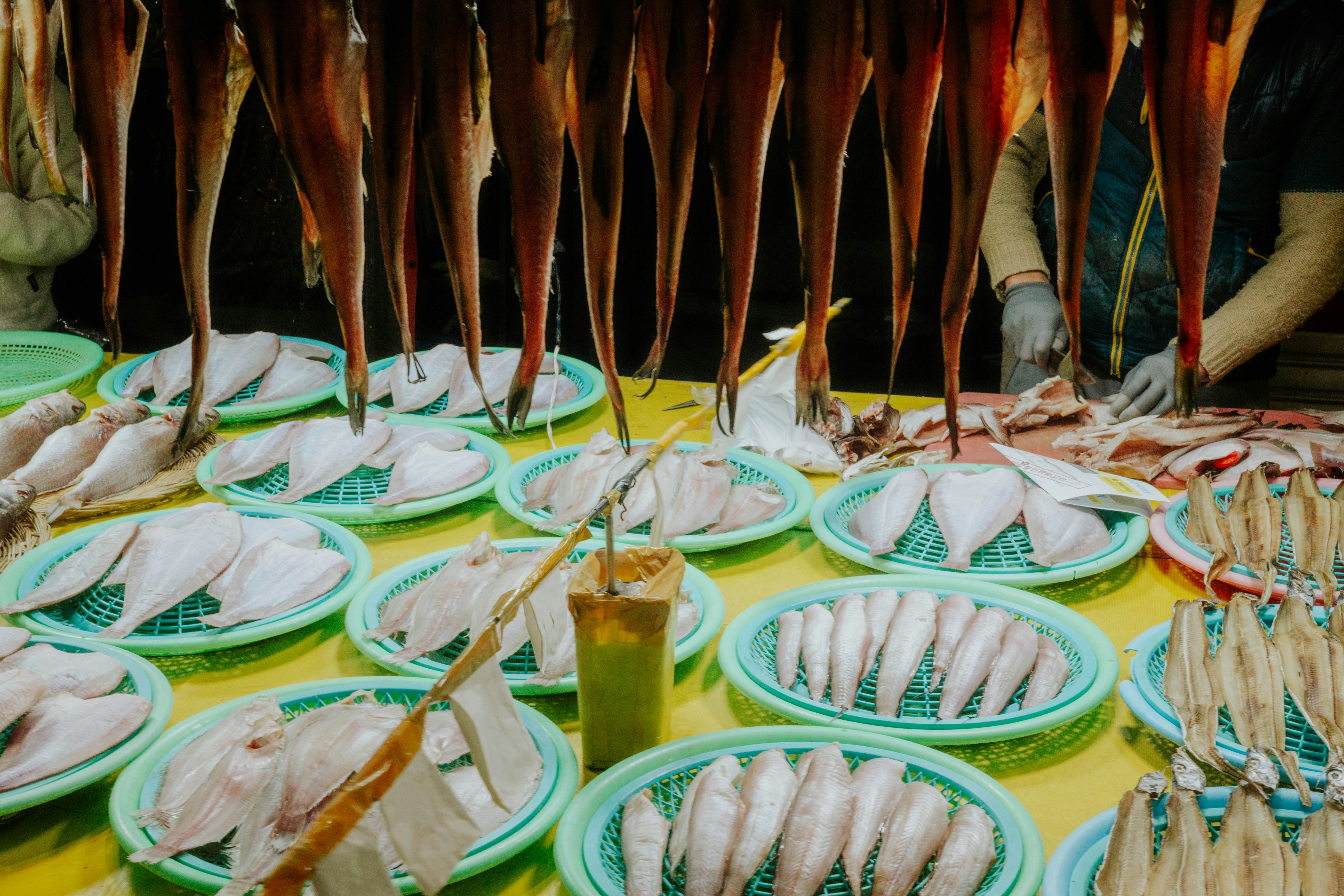 2026-02-traveling-away-from-here-award-cover-image