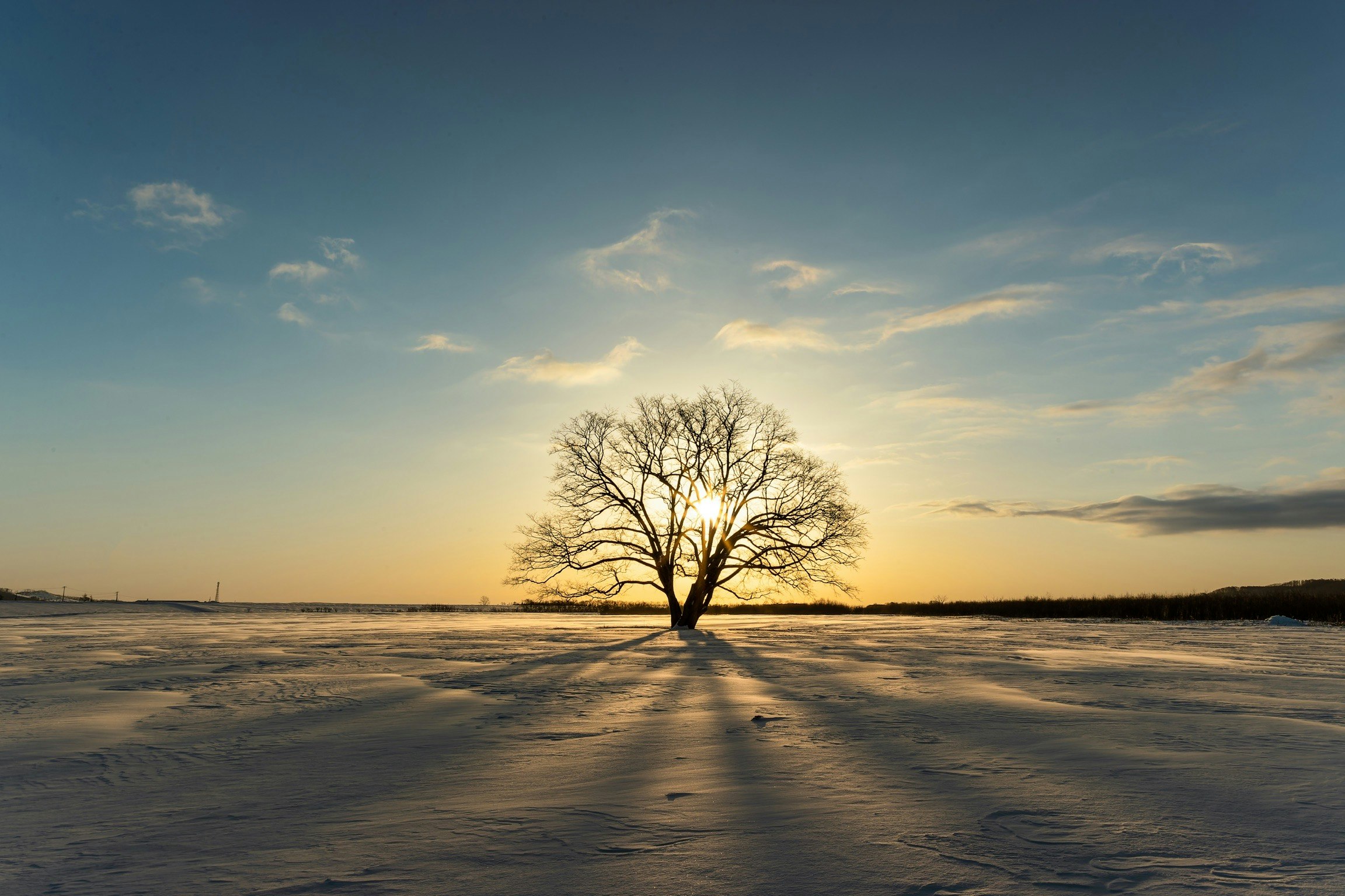 2026-01-ppp-in-sapporo-cover-image