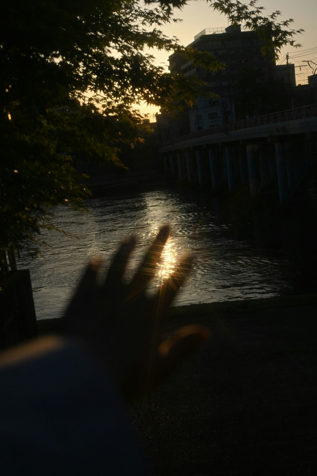 Image by mee