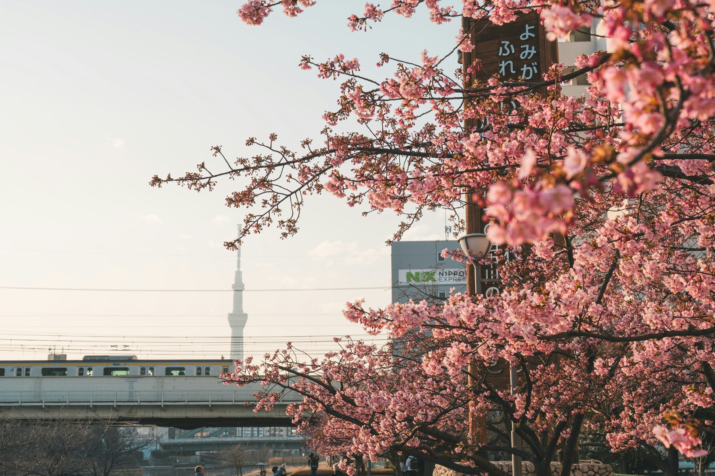 2026-03-ppp-in-tokyo-cover-image