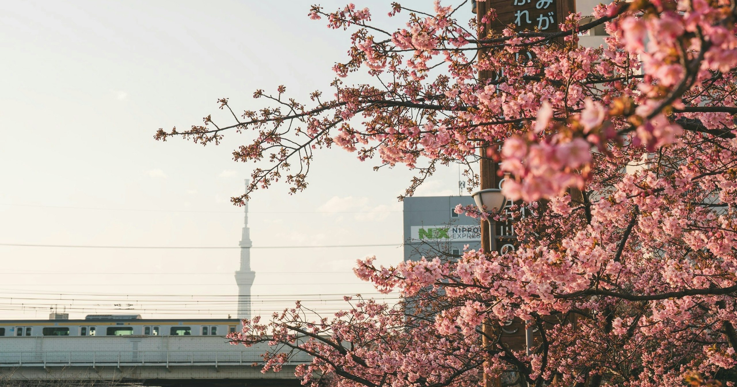 【Open Call】April in Tokio | Zeigen Sie Ihr Foto als Poster | Release #755