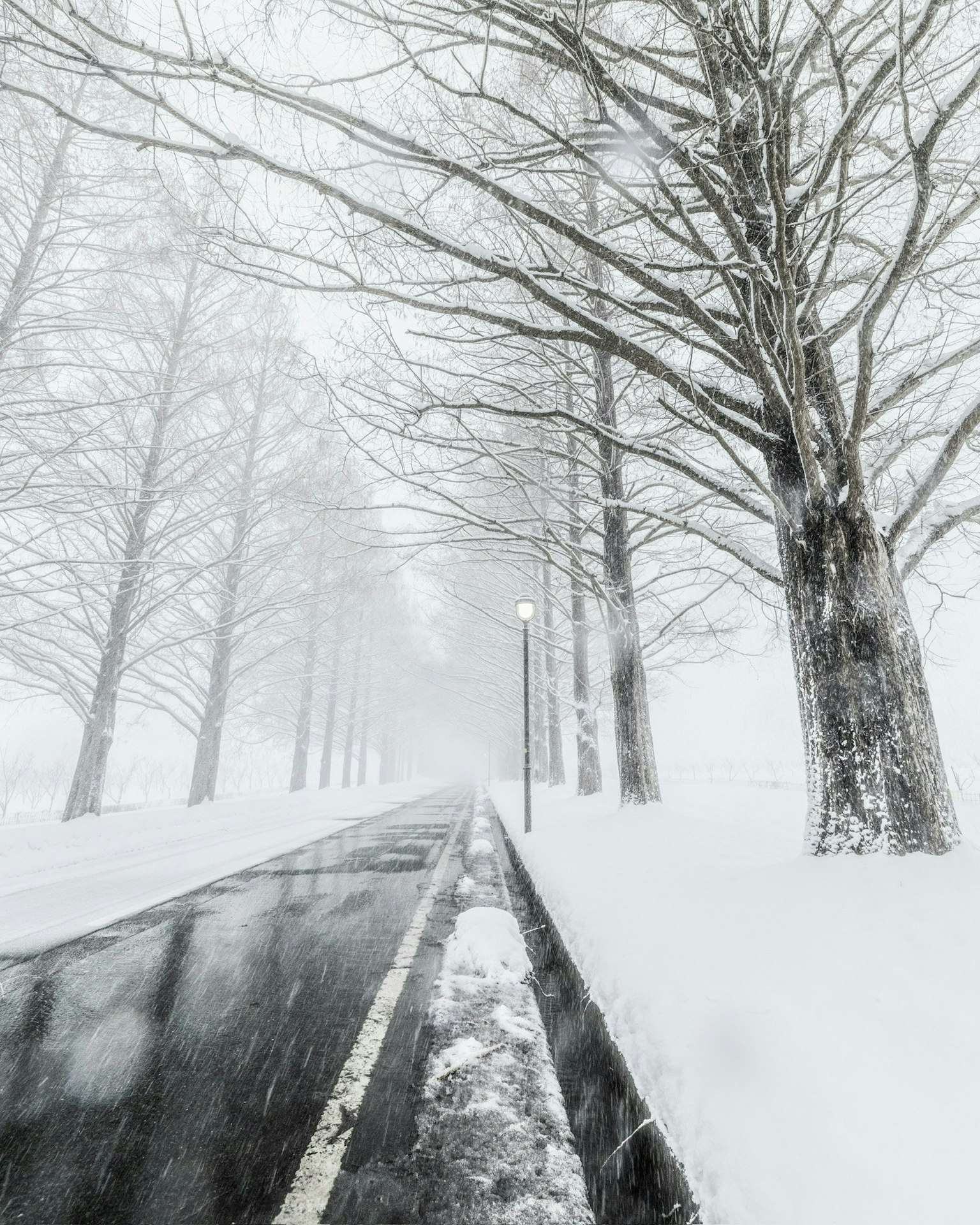 2025-06-depth-report-image-9