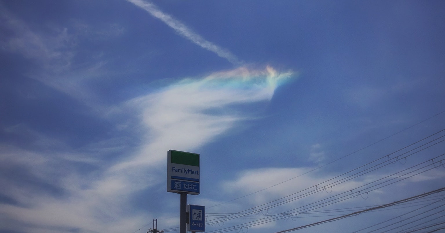 2024-06-whee-cover-image